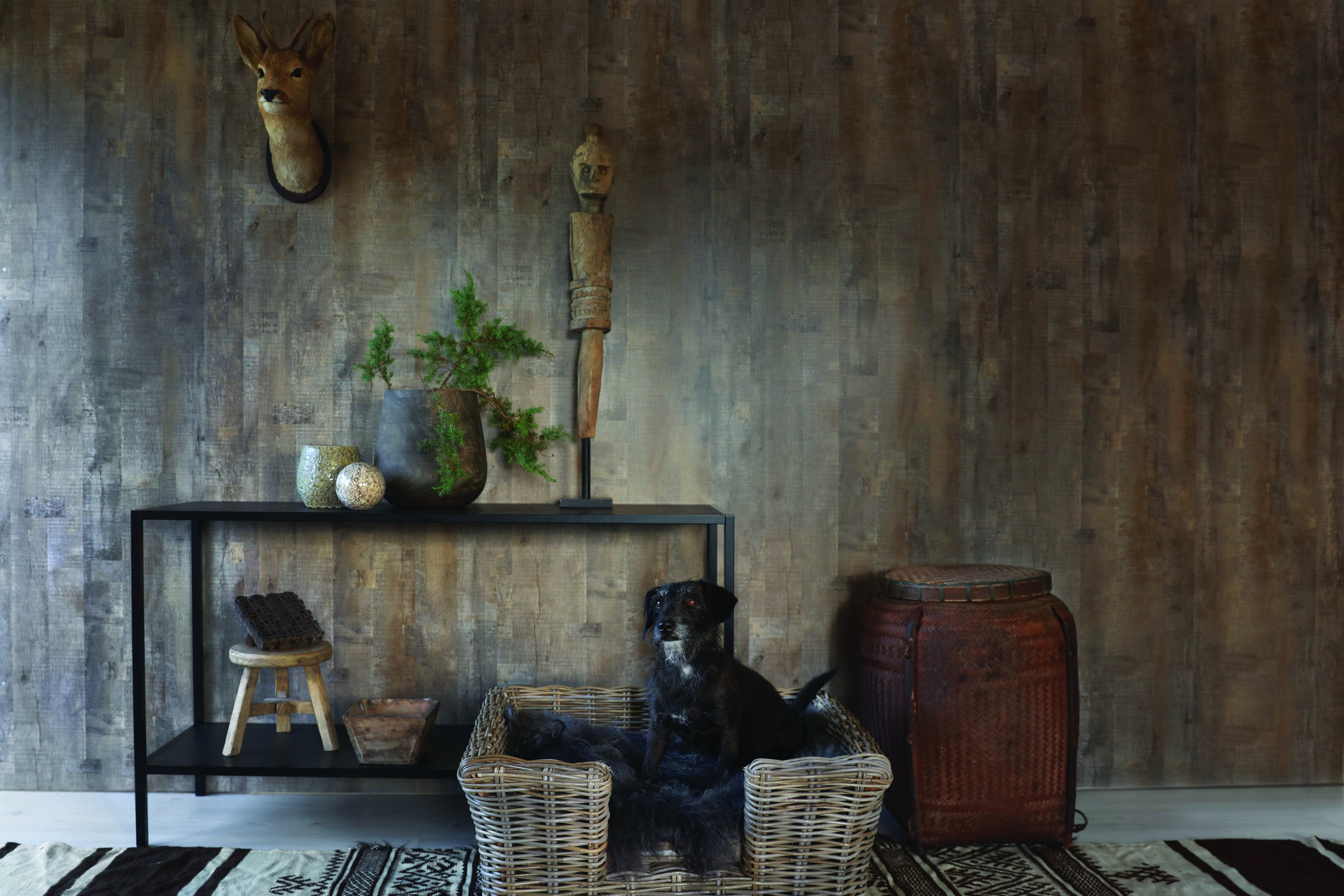 MØRKT: Her er det brukt mørke høstfarger. Veggene er sortaktige, med en gyllen undertone. Det transparente uttrykket skaper liv, og sammen med det lysere gulvet gjør det rommet mer lunt enn mørkt. Veggene er fra walls4you. (Foto: Forestia)