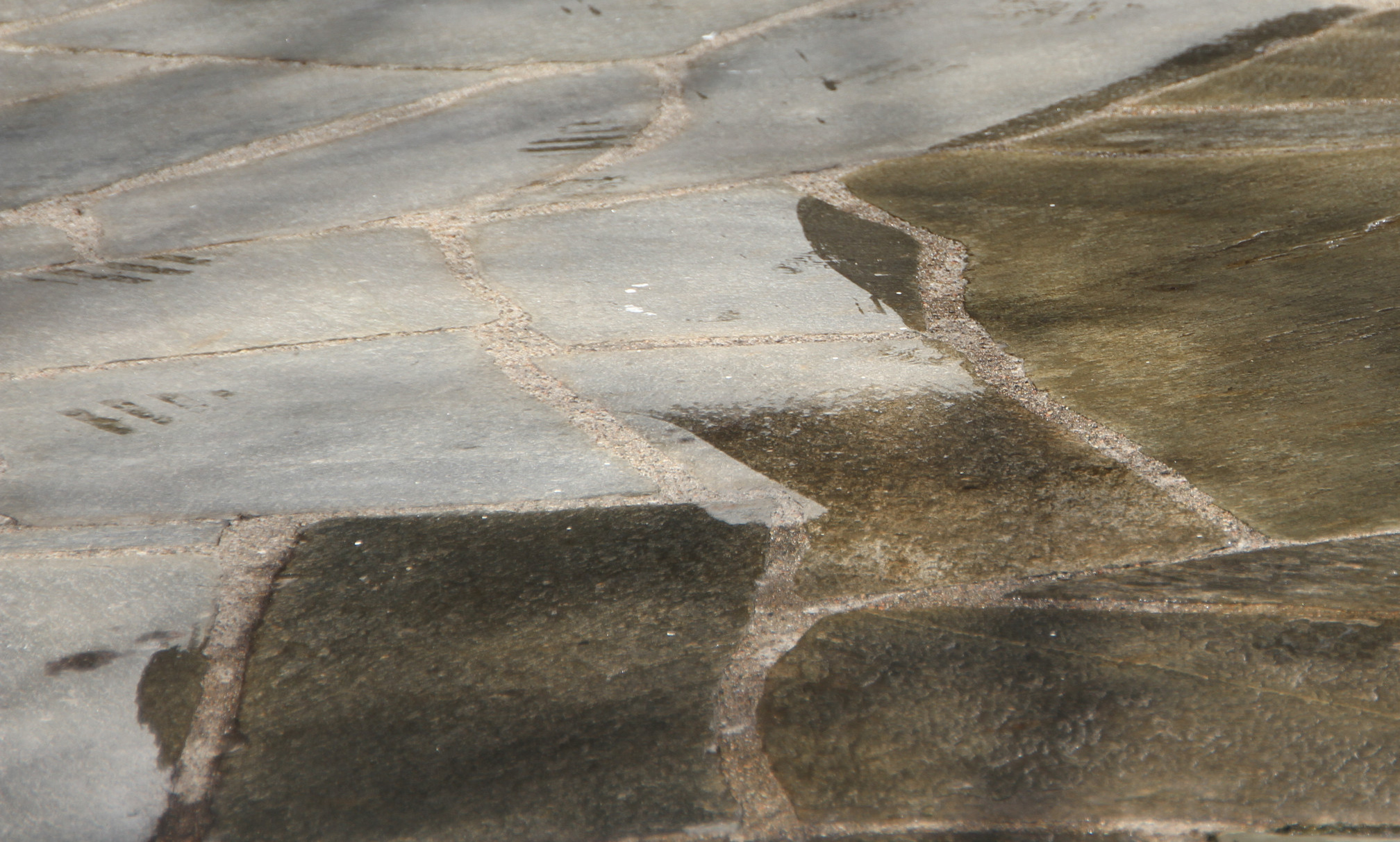 Begroing kan enkelt fjernes fra steinplattingen. Behandling fra Nitor/Alfort.