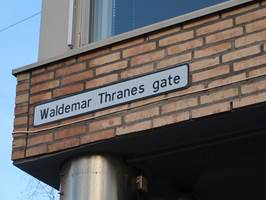 MER MALING: Waldemar Thranes gate er om lag en kilometer lang. Her er det et mylder av kafeer, treningssentre, butikker – og malerforretninger. 