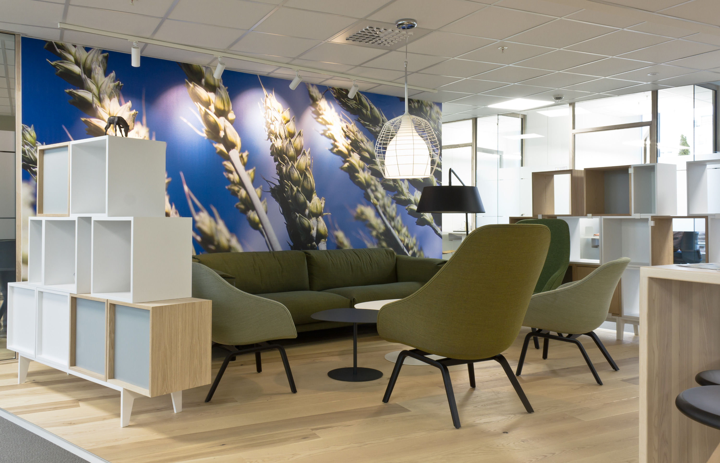 Norsk på norsk hos bondelaget