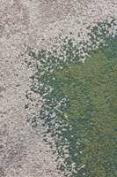 Overgangen mellom grønt og grått gulv gjøres med spesielle teppefliser. 