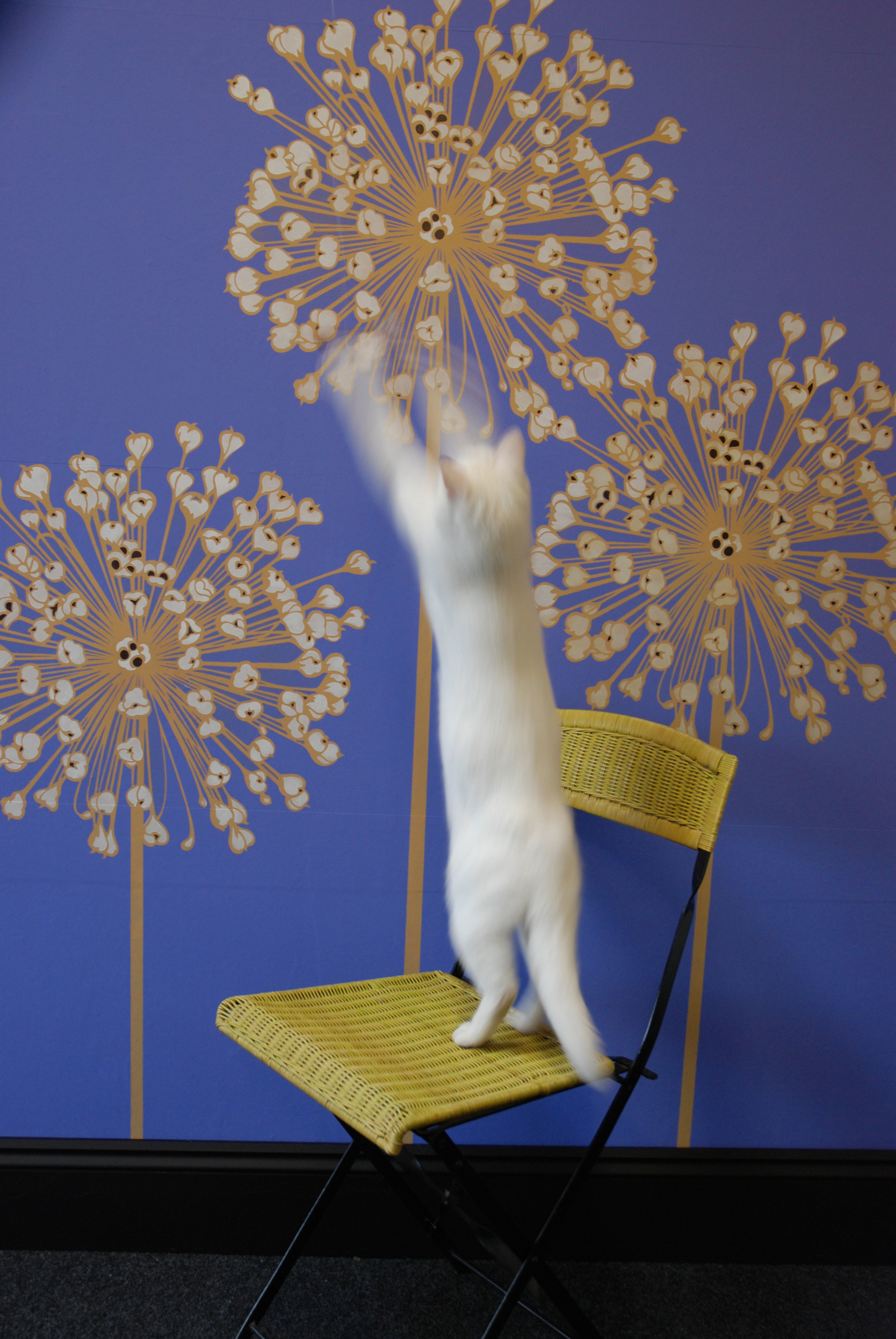 Smart og snart med sjablonger 