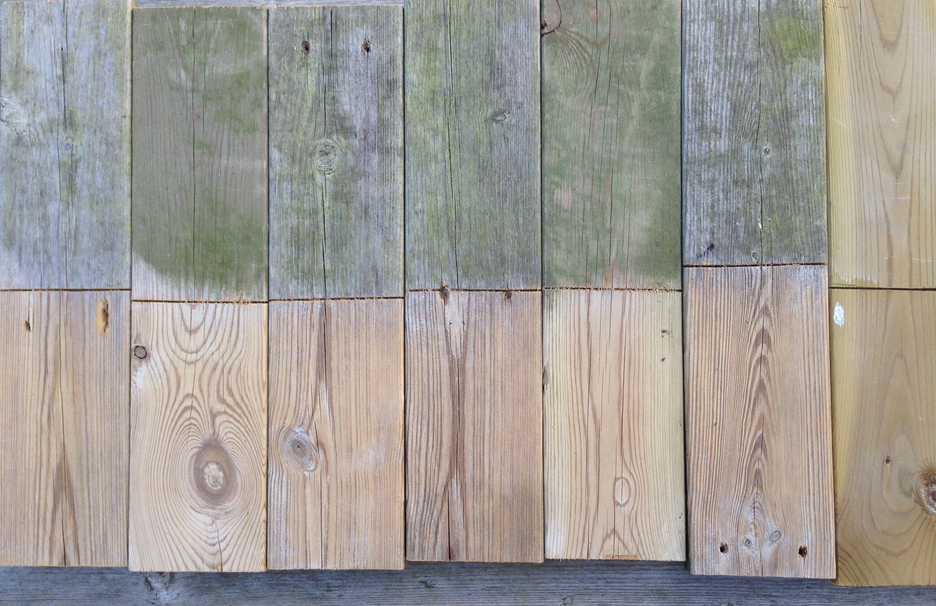 Bekjemp sopp og alger