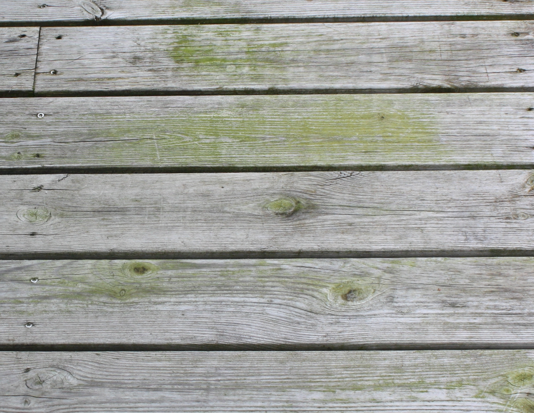 Også impregnert trevirke blir fort skjemmet av sopp og alger.