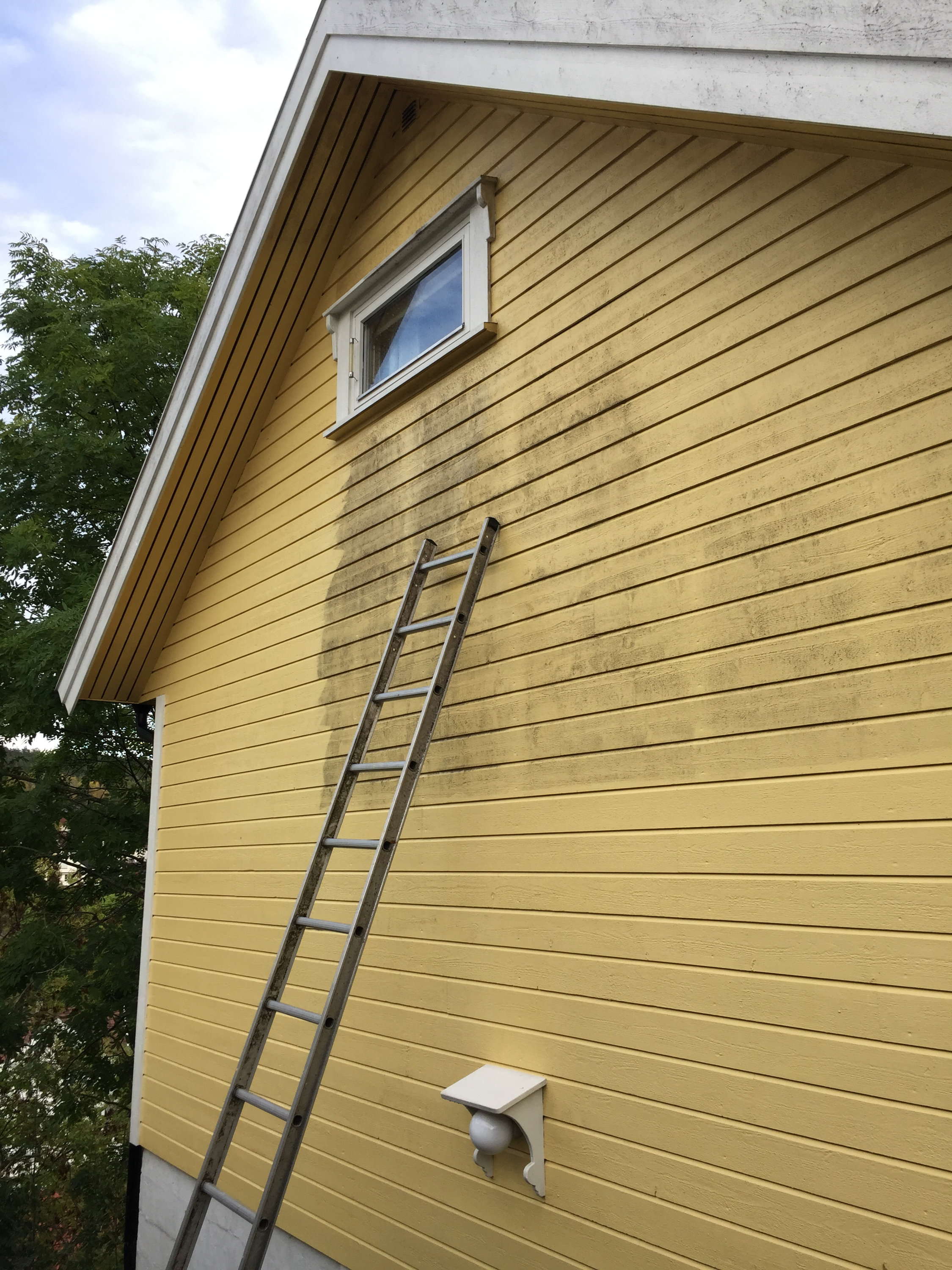 Bruk «Antibac» for fasaden