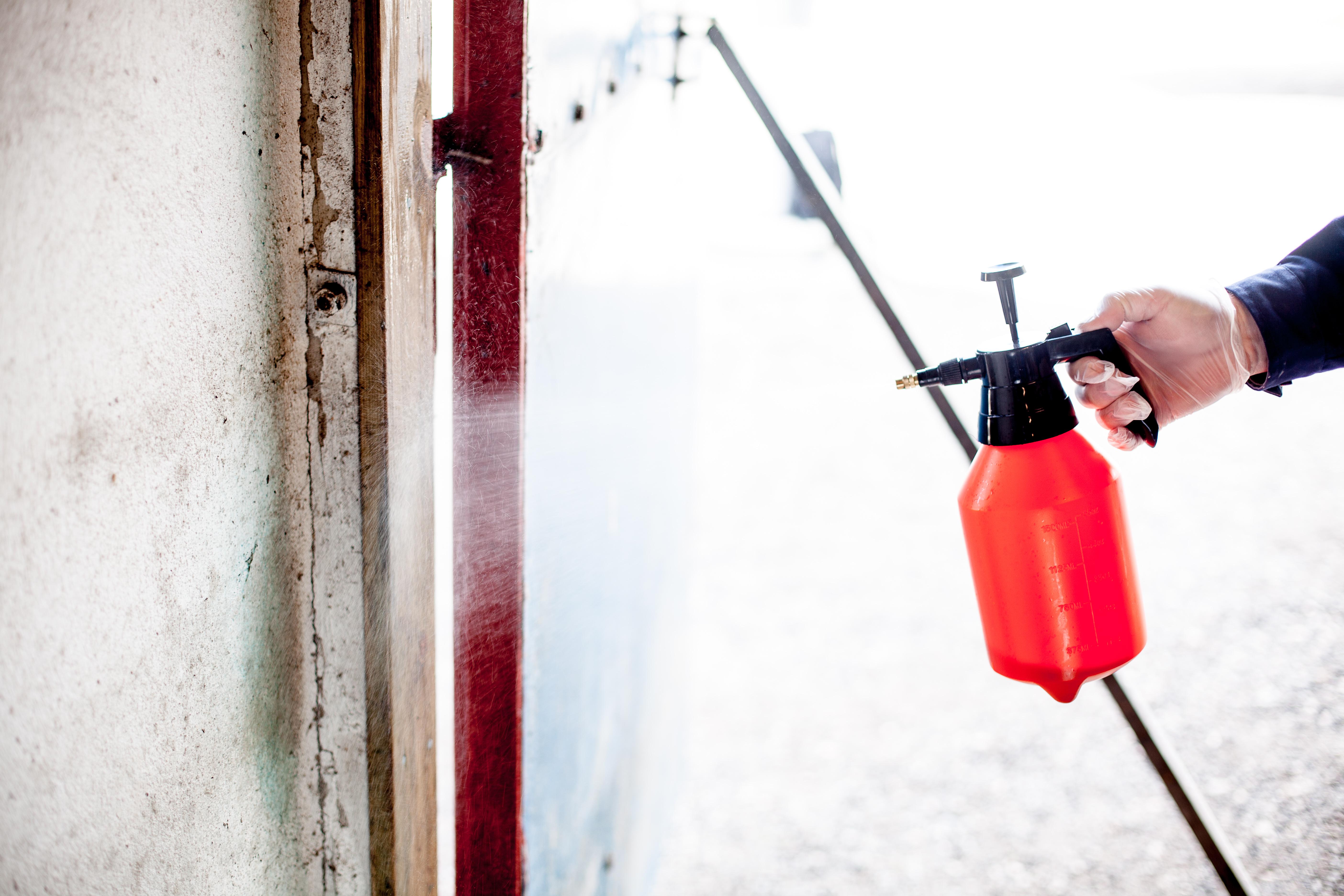 Stans råtesopp og skadedyr