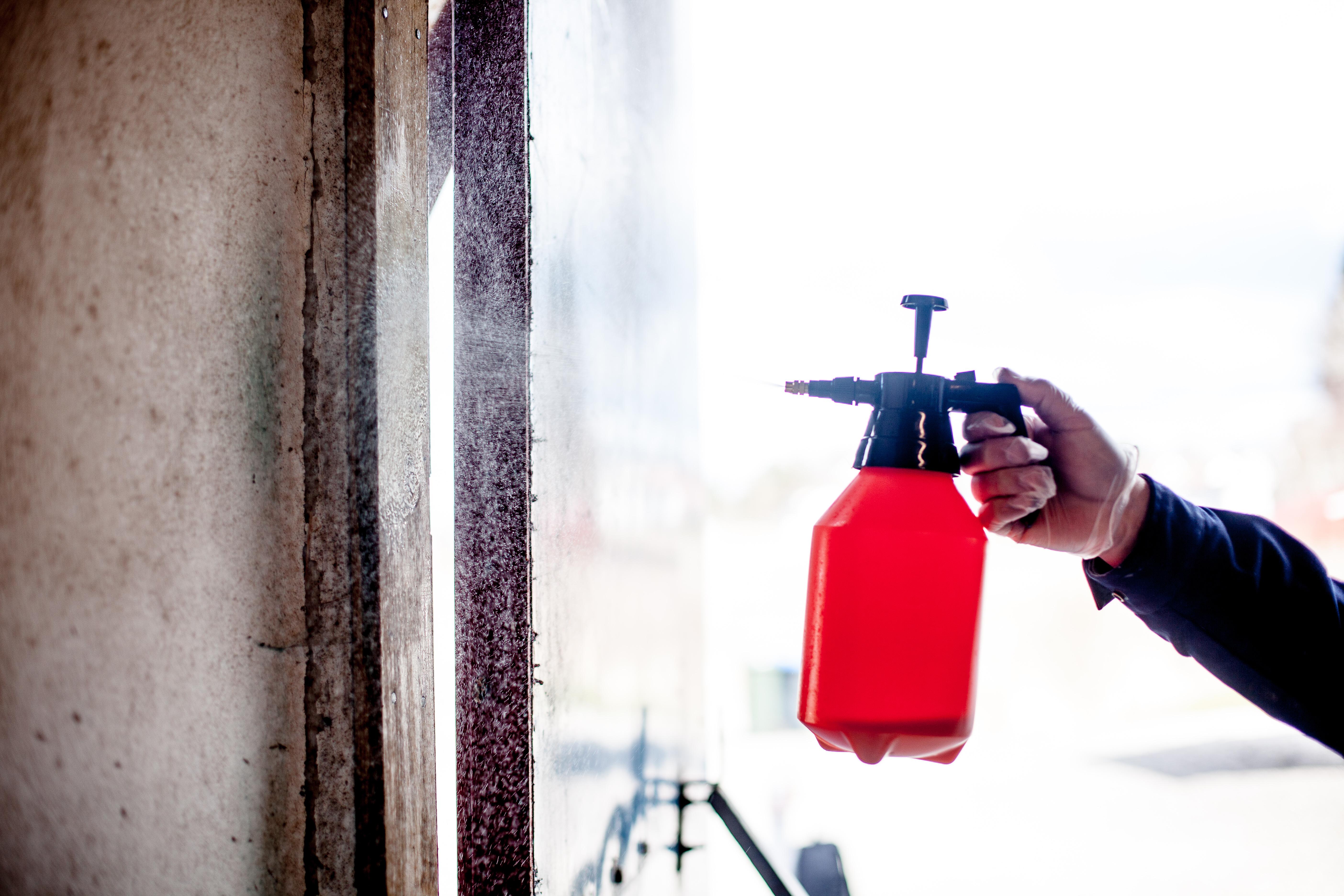 Sprøyt gjerne med Antiparasitt to ganger for å sikre deg at treoverflaten blir skikkelig mettet