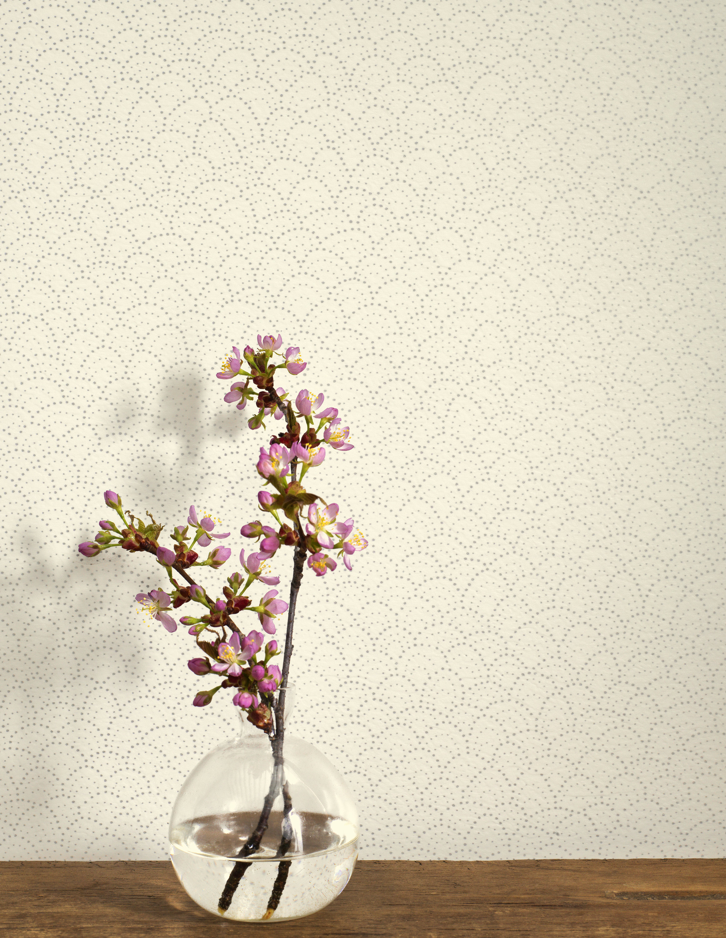 Uansett hvilken stil du foretrekker er mulighetene til å matche vegger, border og gulv mange.    