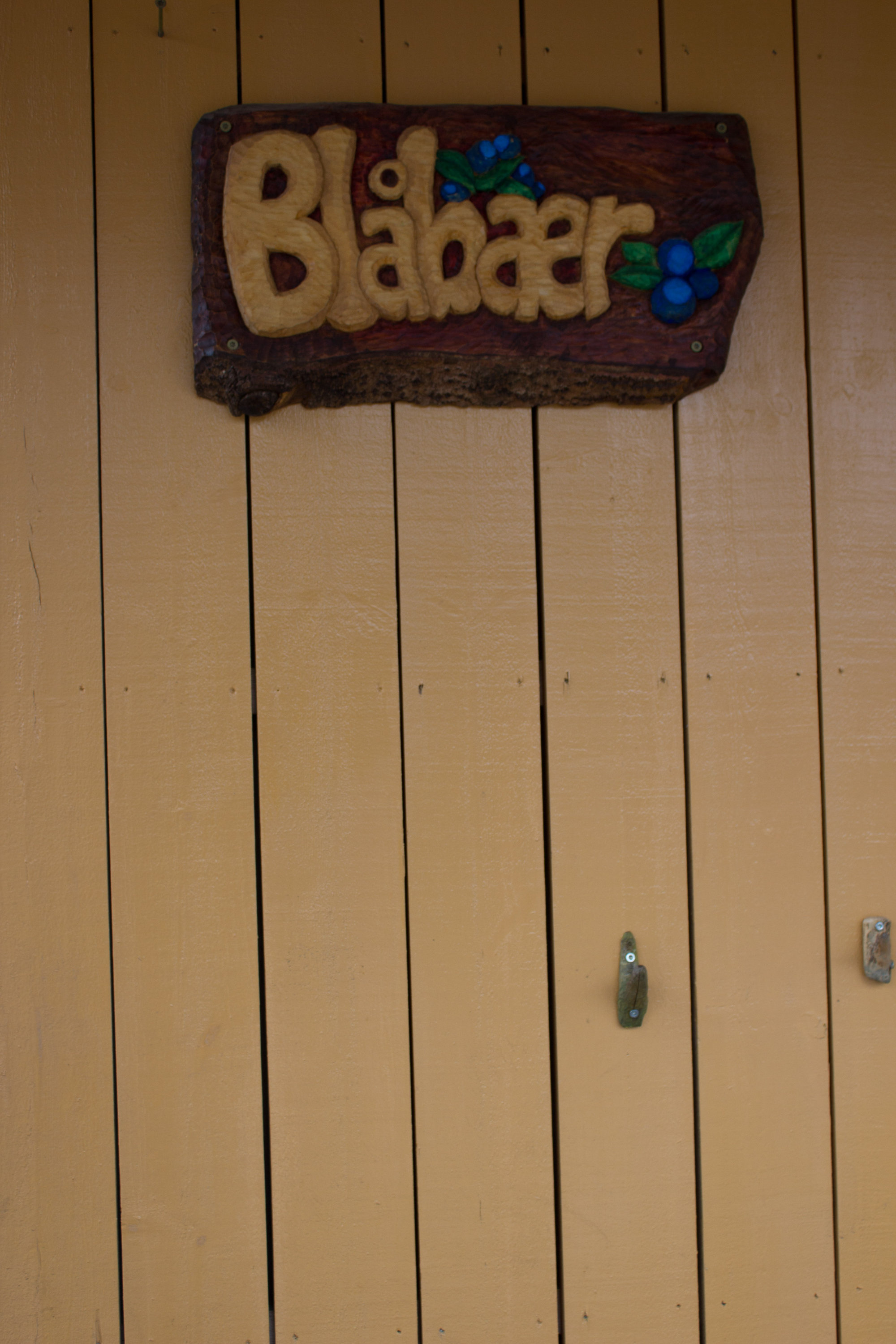 Linoljemaling er en type alkydmaling, som ofte brukes på gamle hus. (Foto:Chera Westman/ifi.no)