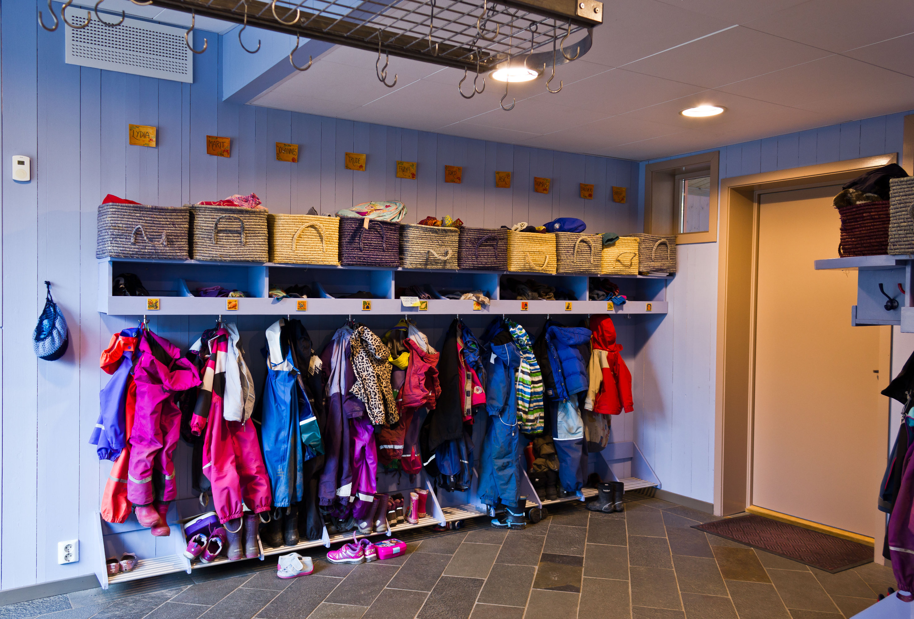 Miljømaling for tyttebær og blåbær