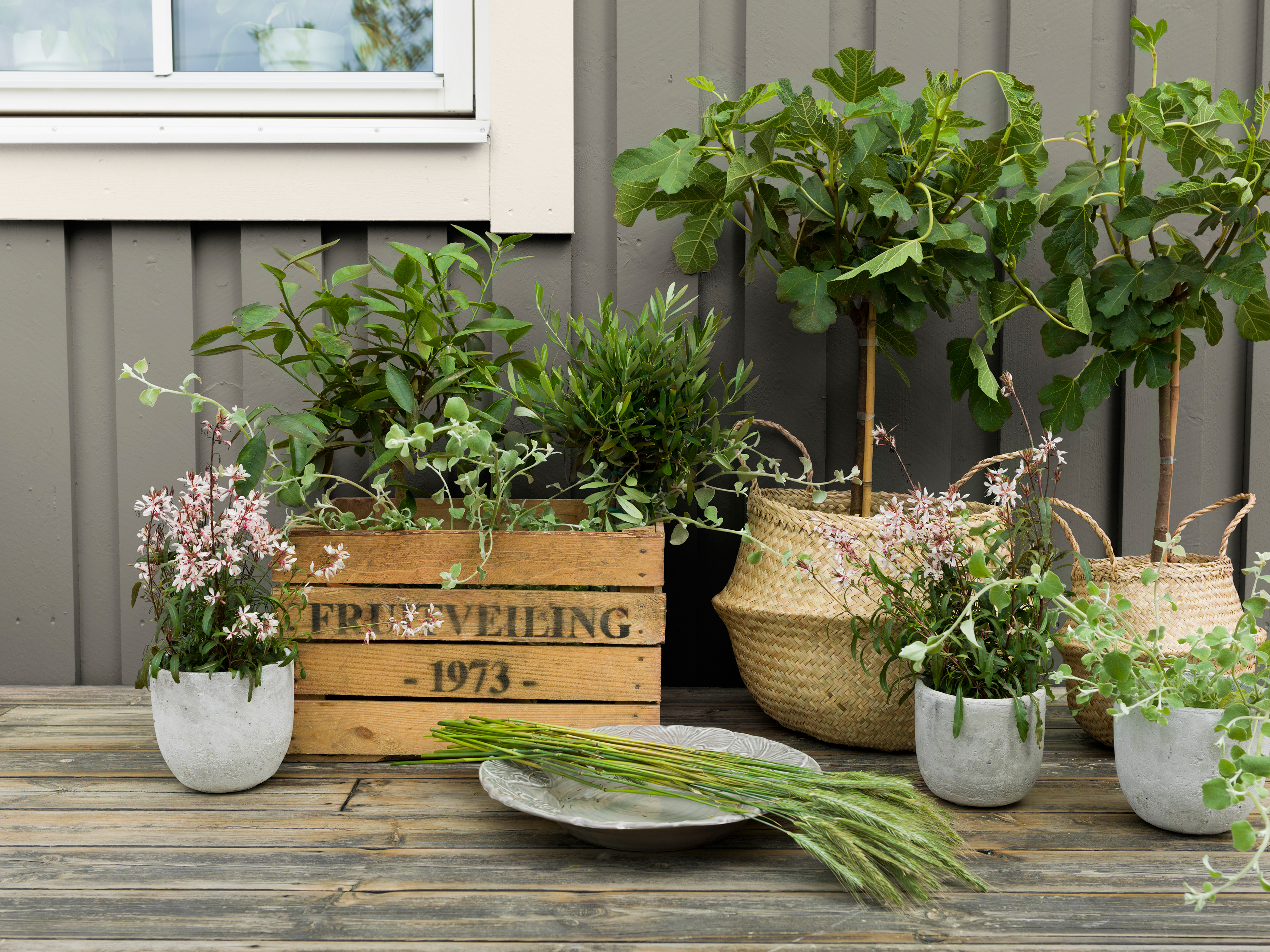 Derfor velger vi: Fasademaling