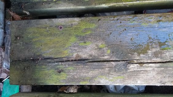 Unngå grønske på terrassen