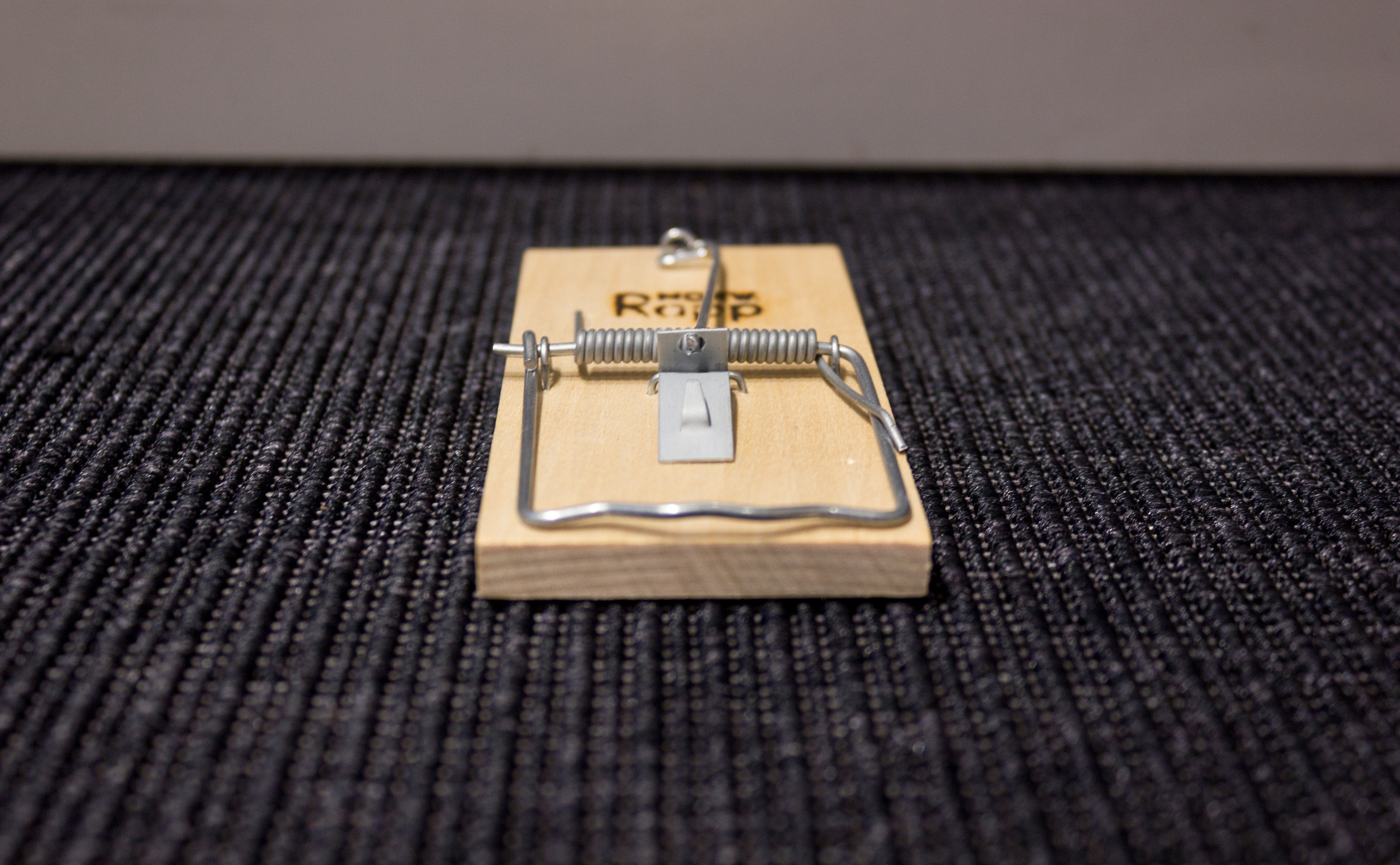 BEREDT: Skadedyr trekker inn når det blir kaldt ute, akkurat som oss. Vær beredt. (Foto: Mari Rosenberg/ifi.no)