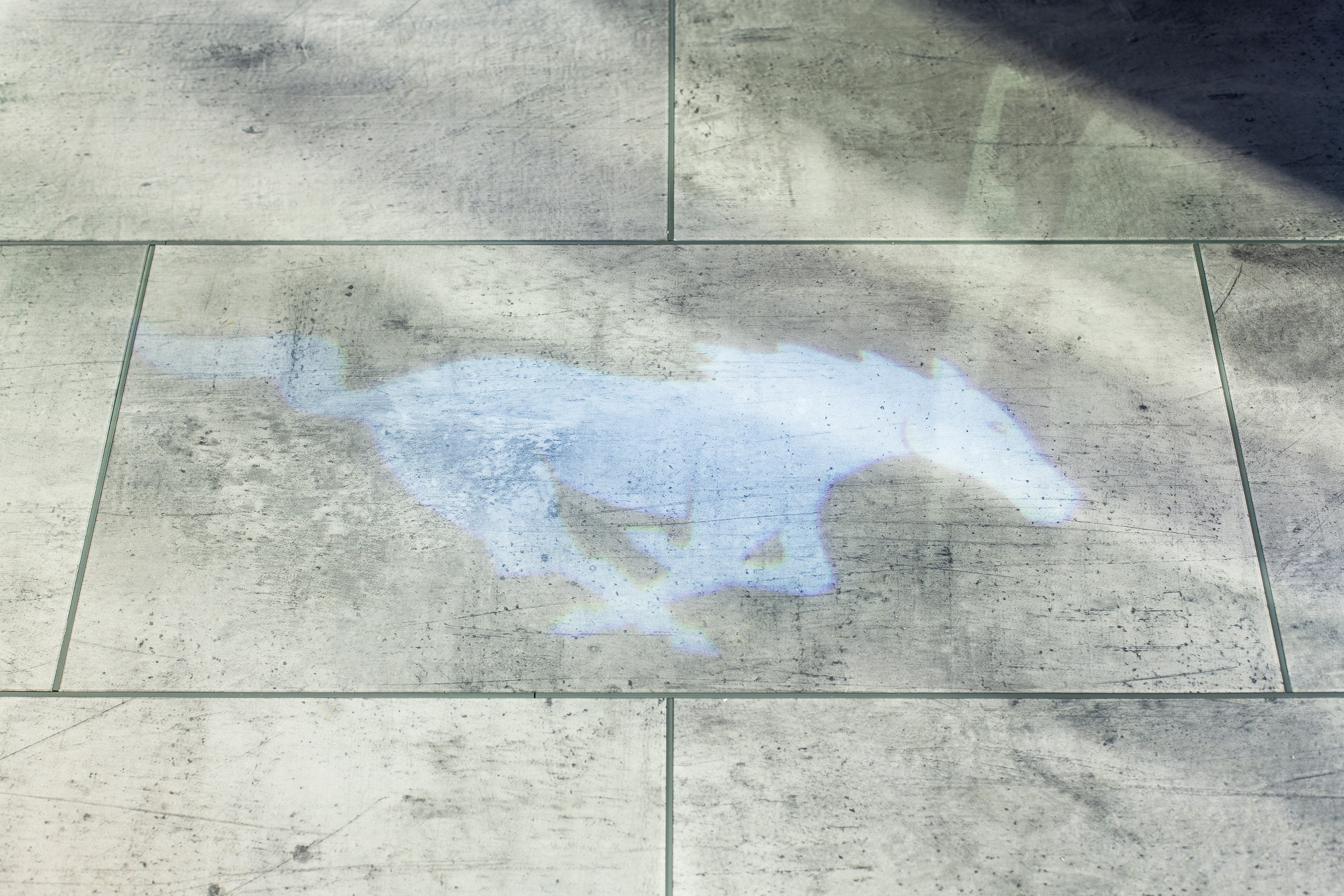 Kaster lys: Når du åpner bildøren på en Mustang skinner den umiskjennelige logoen opp på bakken.