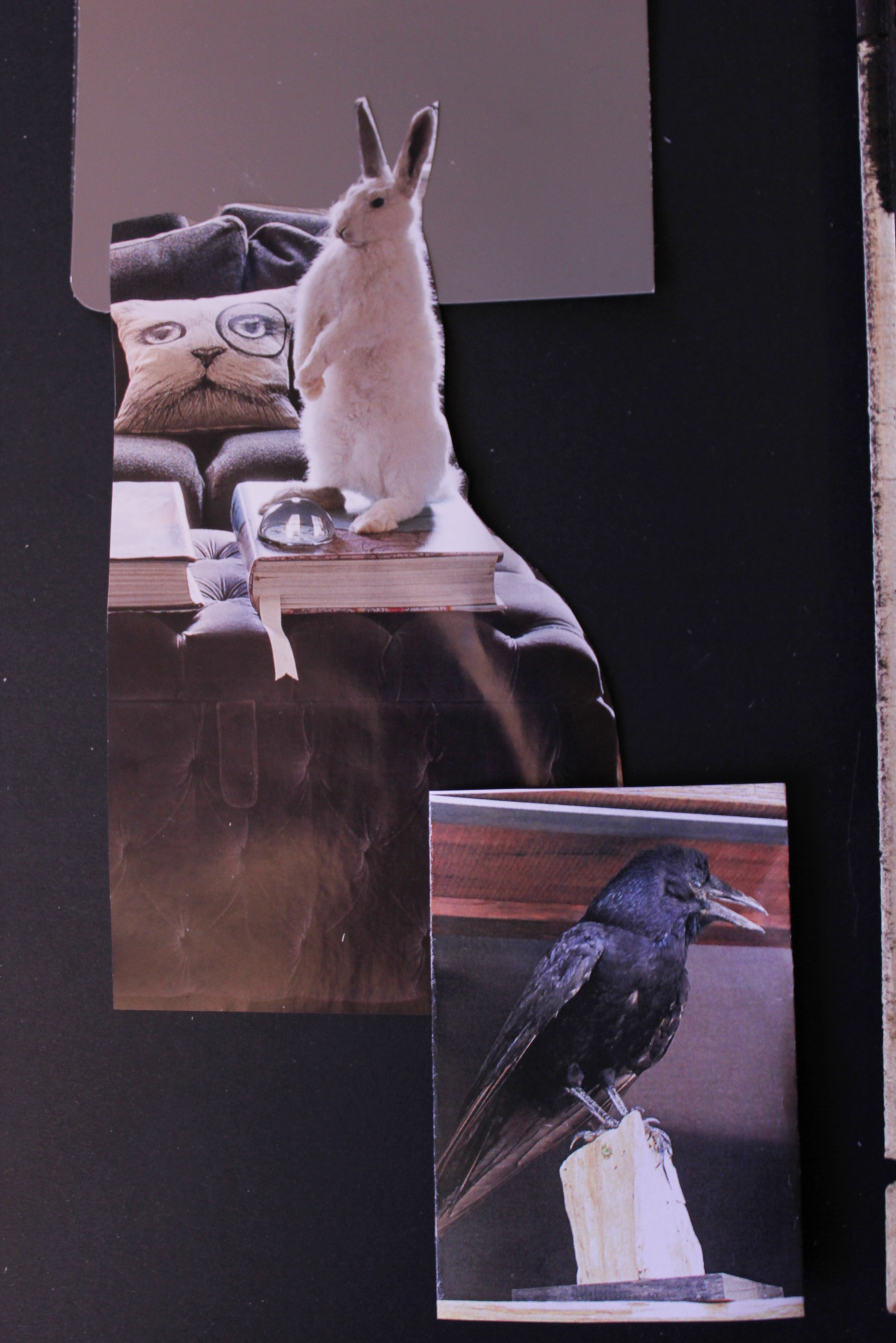 Det bisarre møter det elegante.