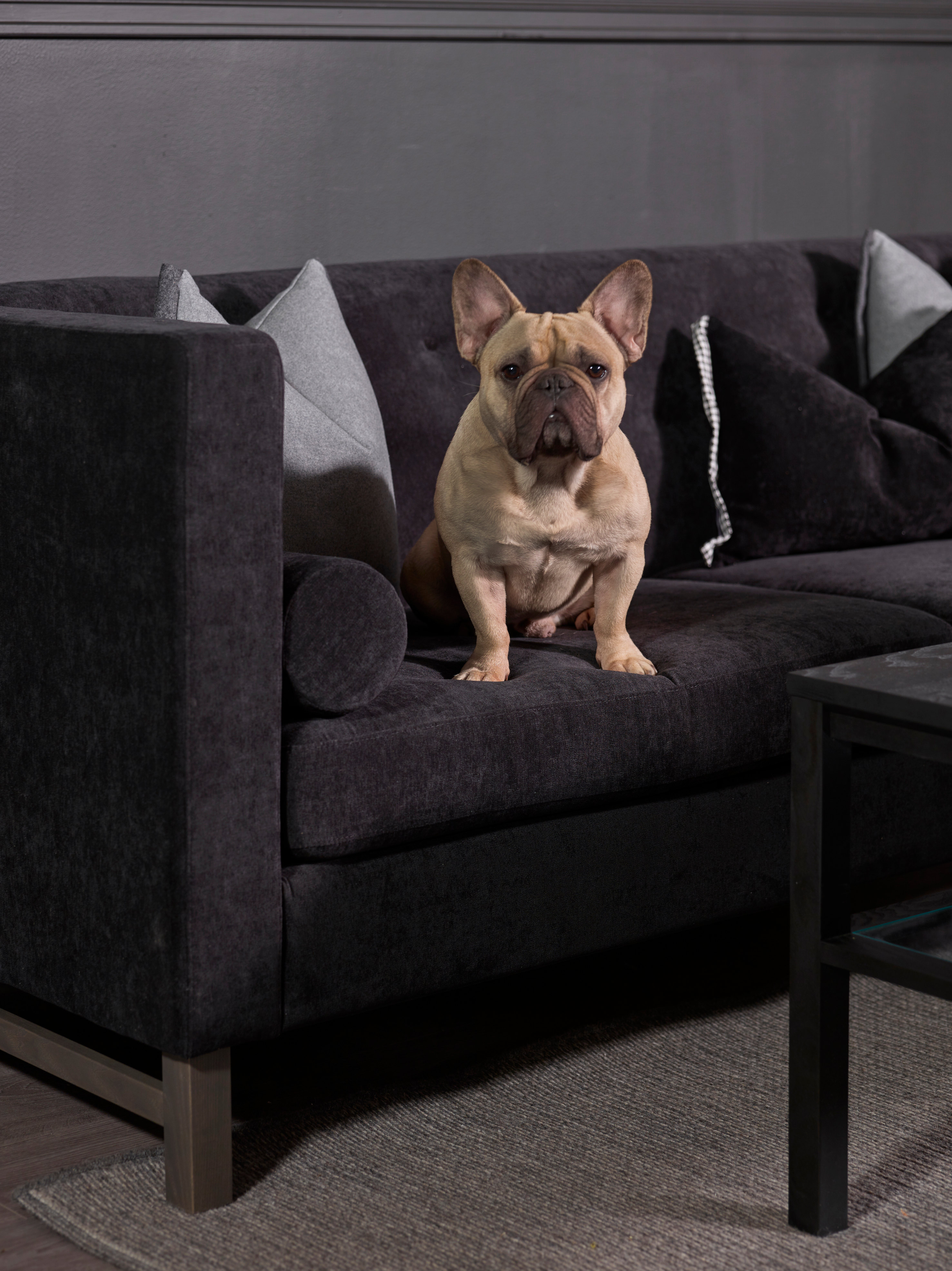 Som et kinderegg: klassisk, slitesterkt og lekkert. 