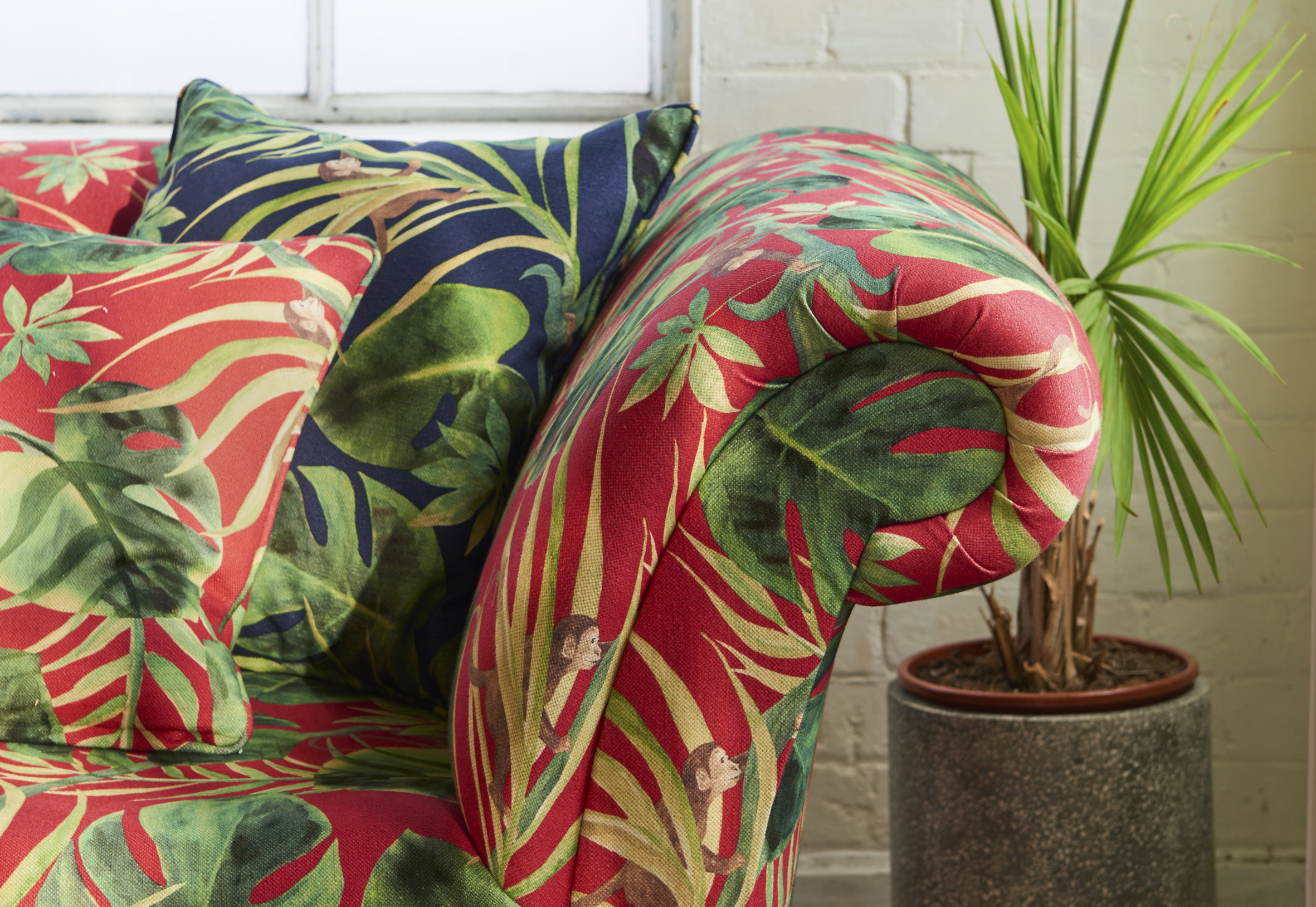 Et preg av koloniene