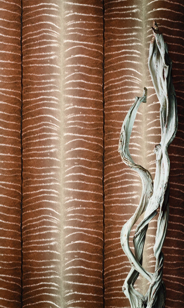 Blant Borges høstnyheter finnes flere eksotiske varianter, som dette tapetet fra kolleksjonen Cosmopolitan.