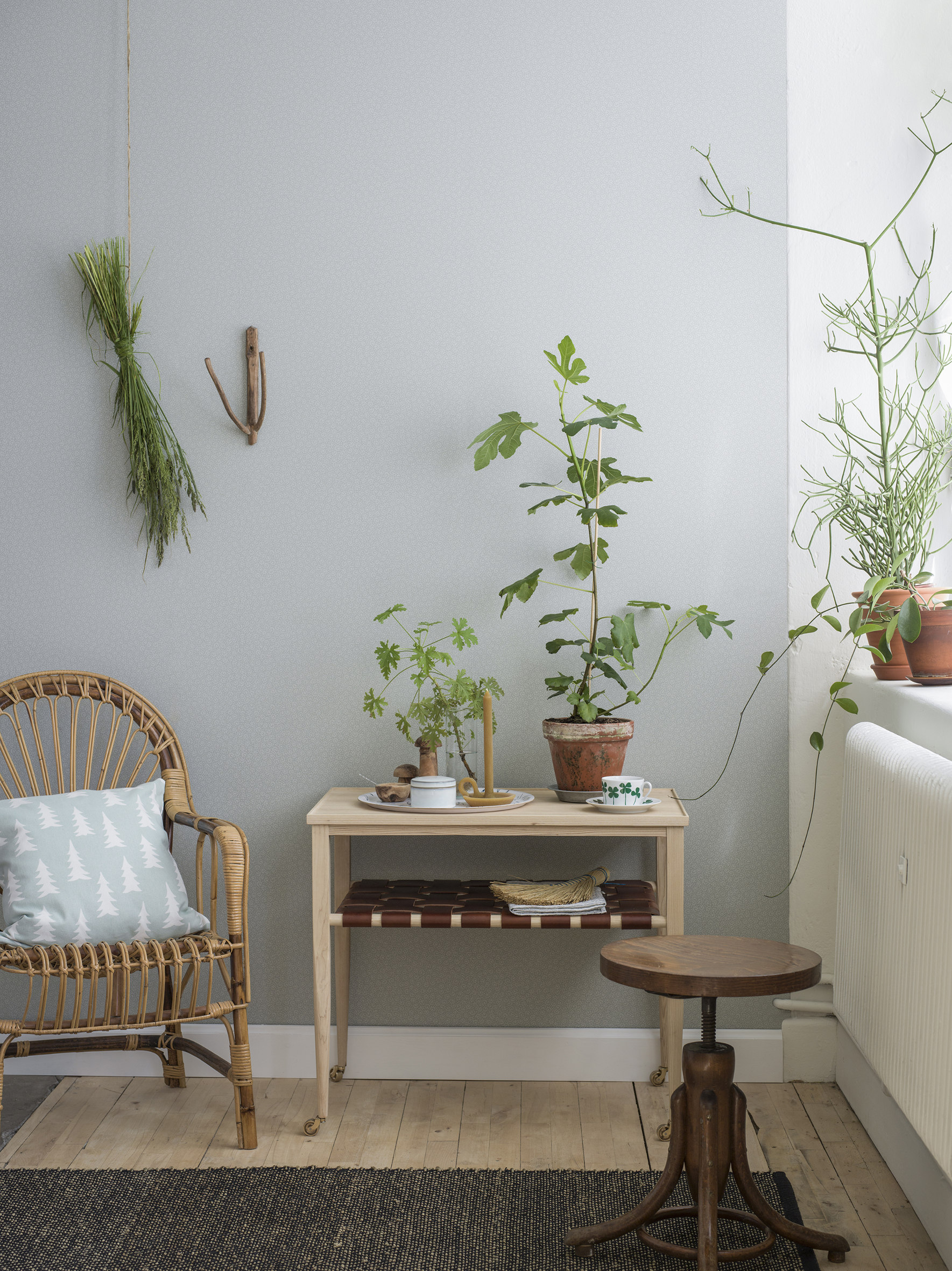 De grønne plantene har fått sin renessanse. Nå skal de være overalt. Fra kolleksjonen Eco Simplicity fra Borge.