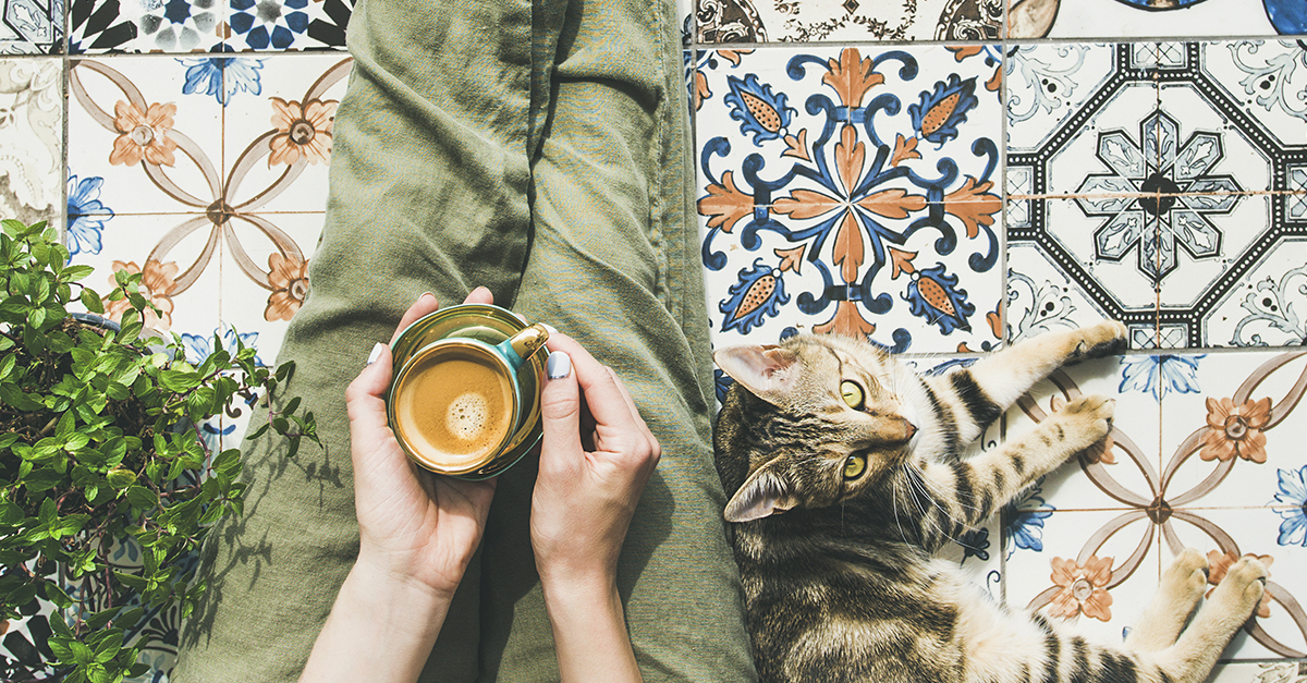 Drømmebadet du bygger selv