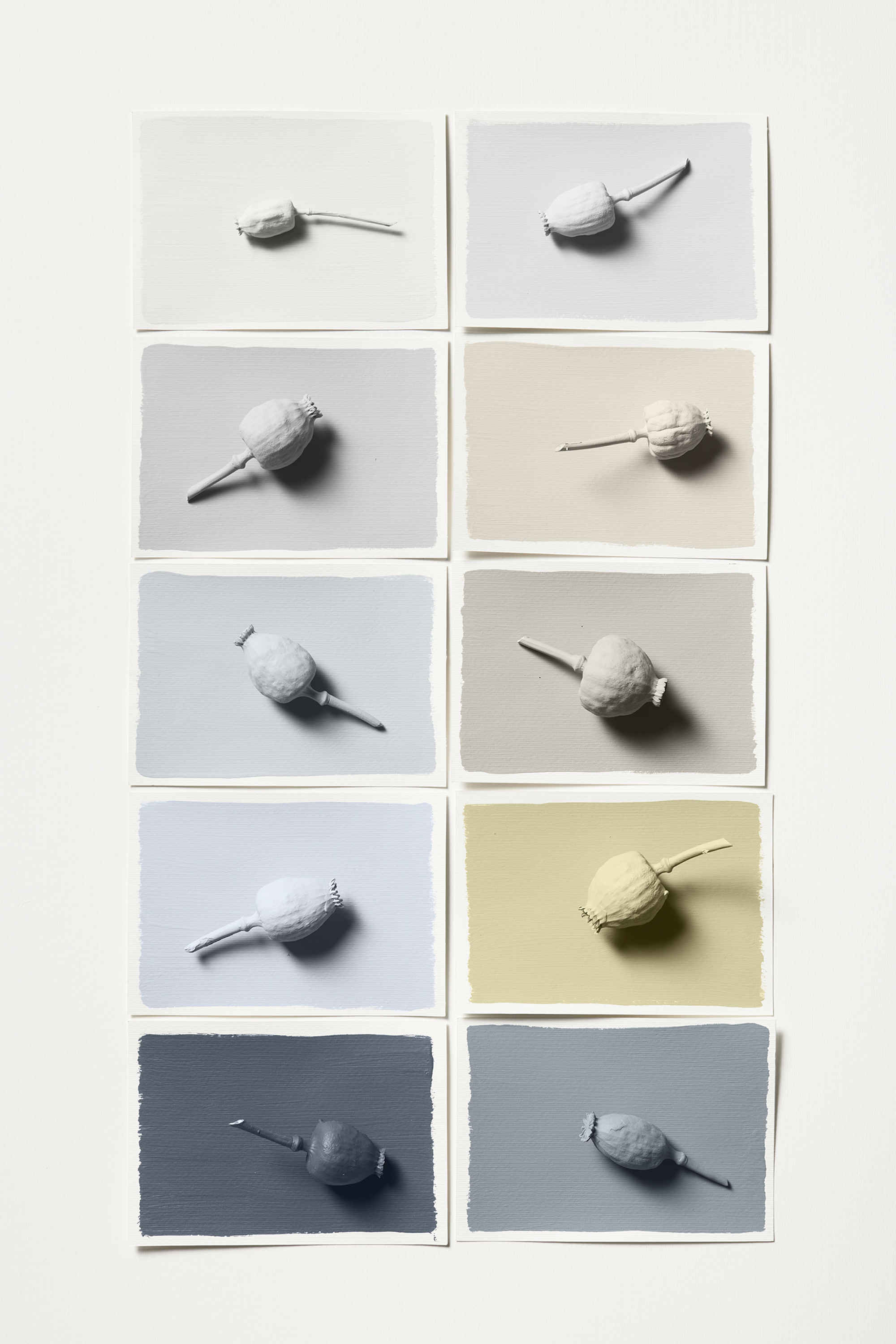 Flow palett Colour of the Year 2023