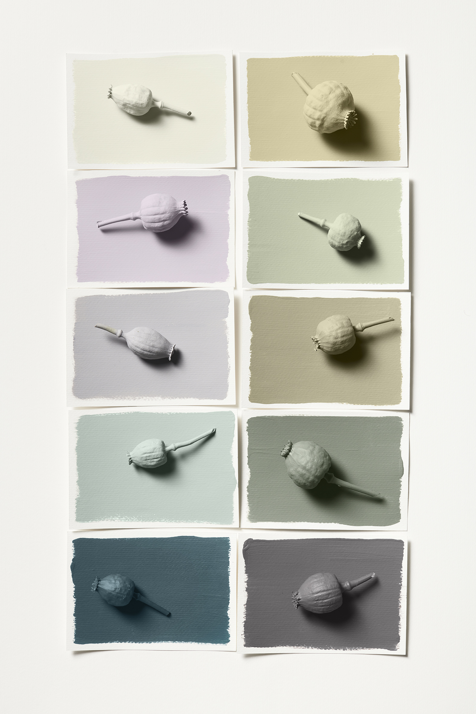 lush palett Colour of the Year 2023