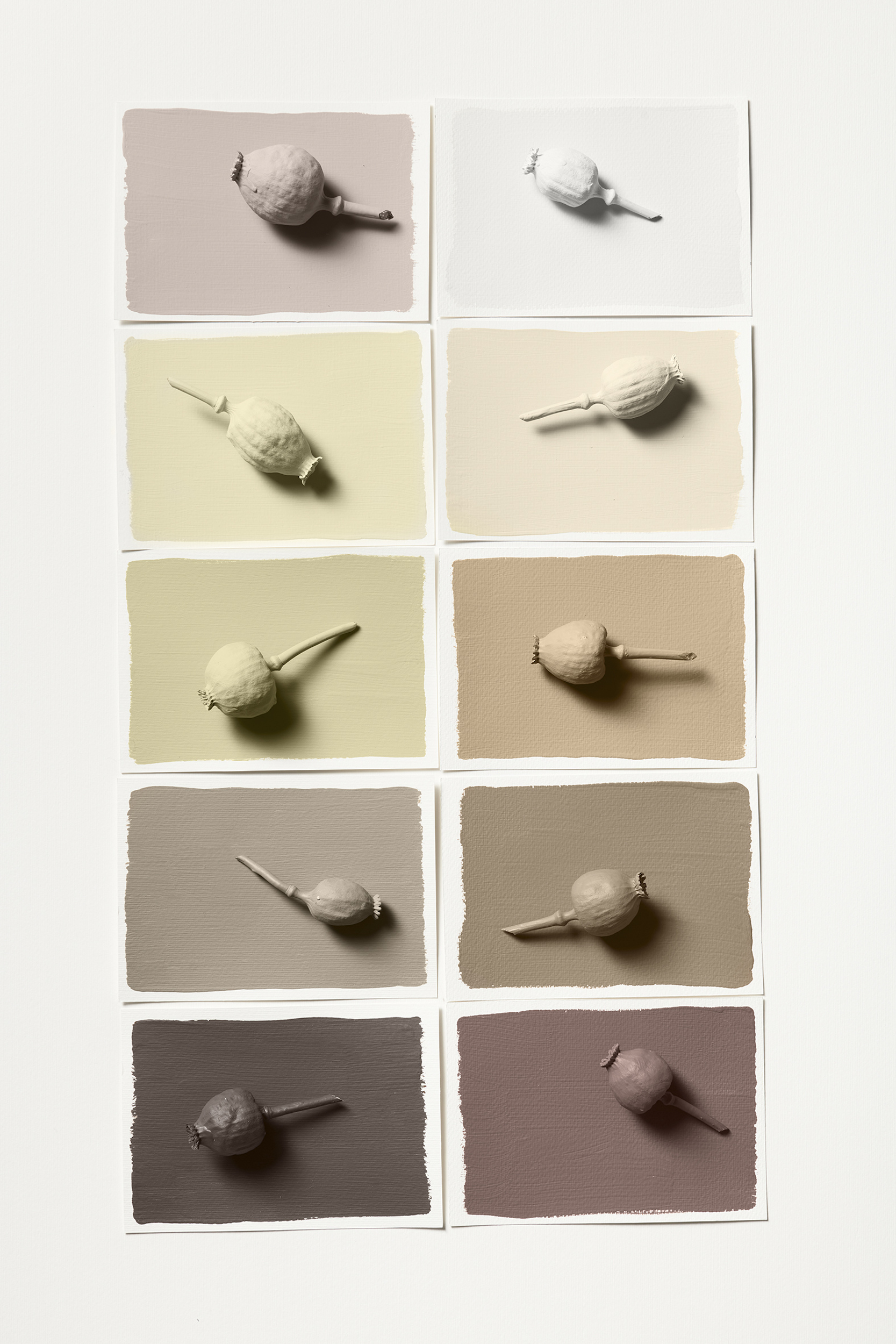 raw-palett Colour of the Year 2023