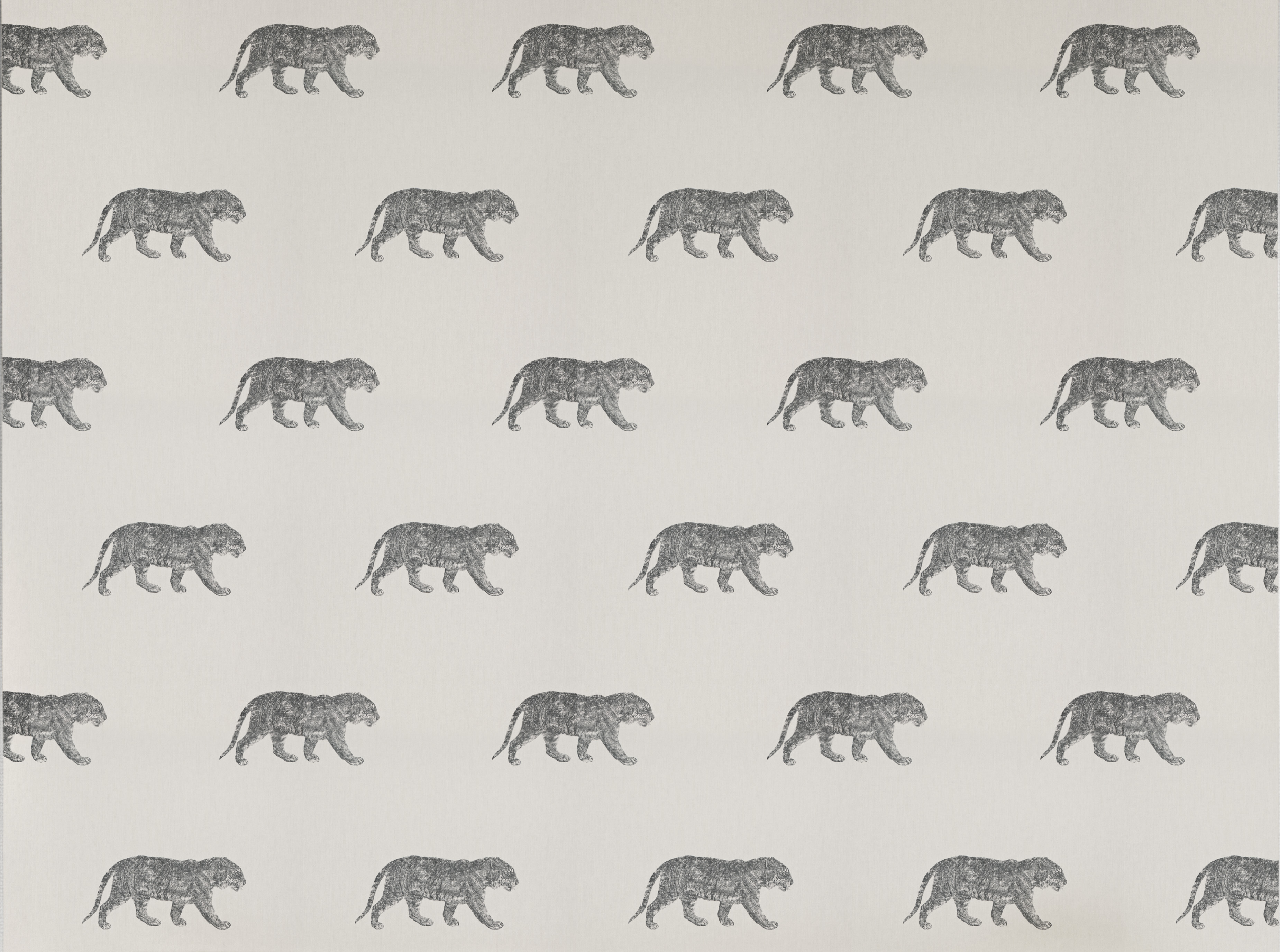 Tøff som en tiger! Også utenfor Hundremeterskogen finnes tigre – disse er ikke fullt så bumpete som vennen til Brumm, men de er nokså tøffe! Fra Coordonnee/Green Apple.