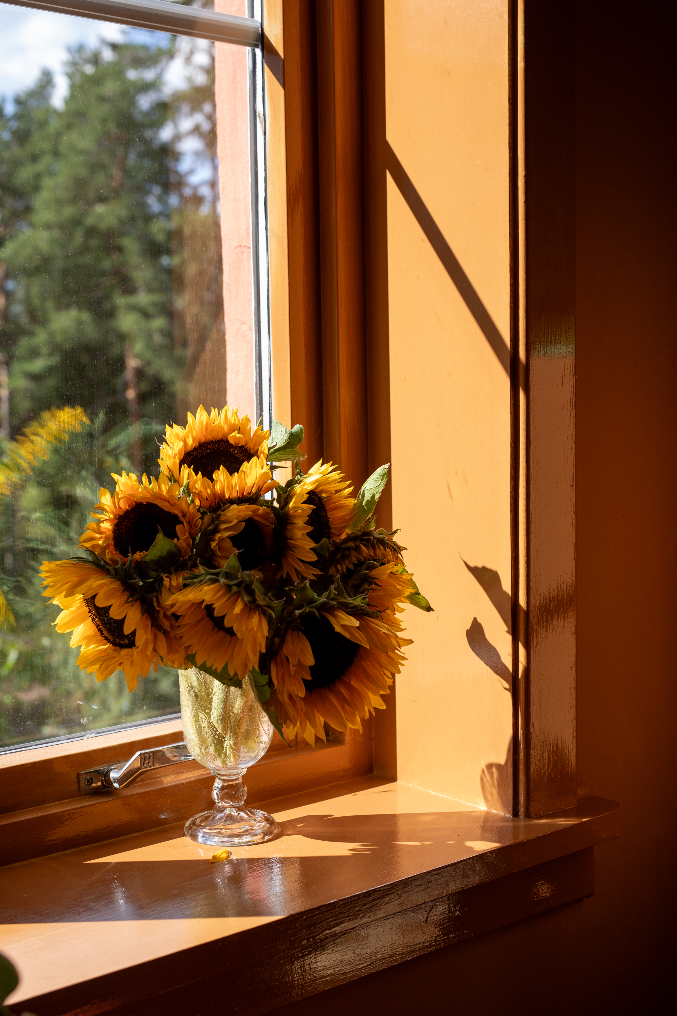Vase med gule solsikker i et vindu malt i oransje