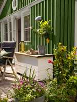 GRØNT: Med både grønne vegg og planter blir utelivet frodig. Huset er malt i fargen Granbarr 091 fra Beckers. 