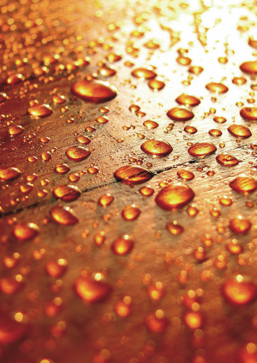 DR&Aring;PETESTEN: Hvis vanndr&aring;pene perler seg fint p&aring; benkeplaten, kan du utsette vedlikeholdet litt til. Om de flyter ut og trekker inn i treverket, m&aring; du finne fram oljen. (Foto: Osmo)