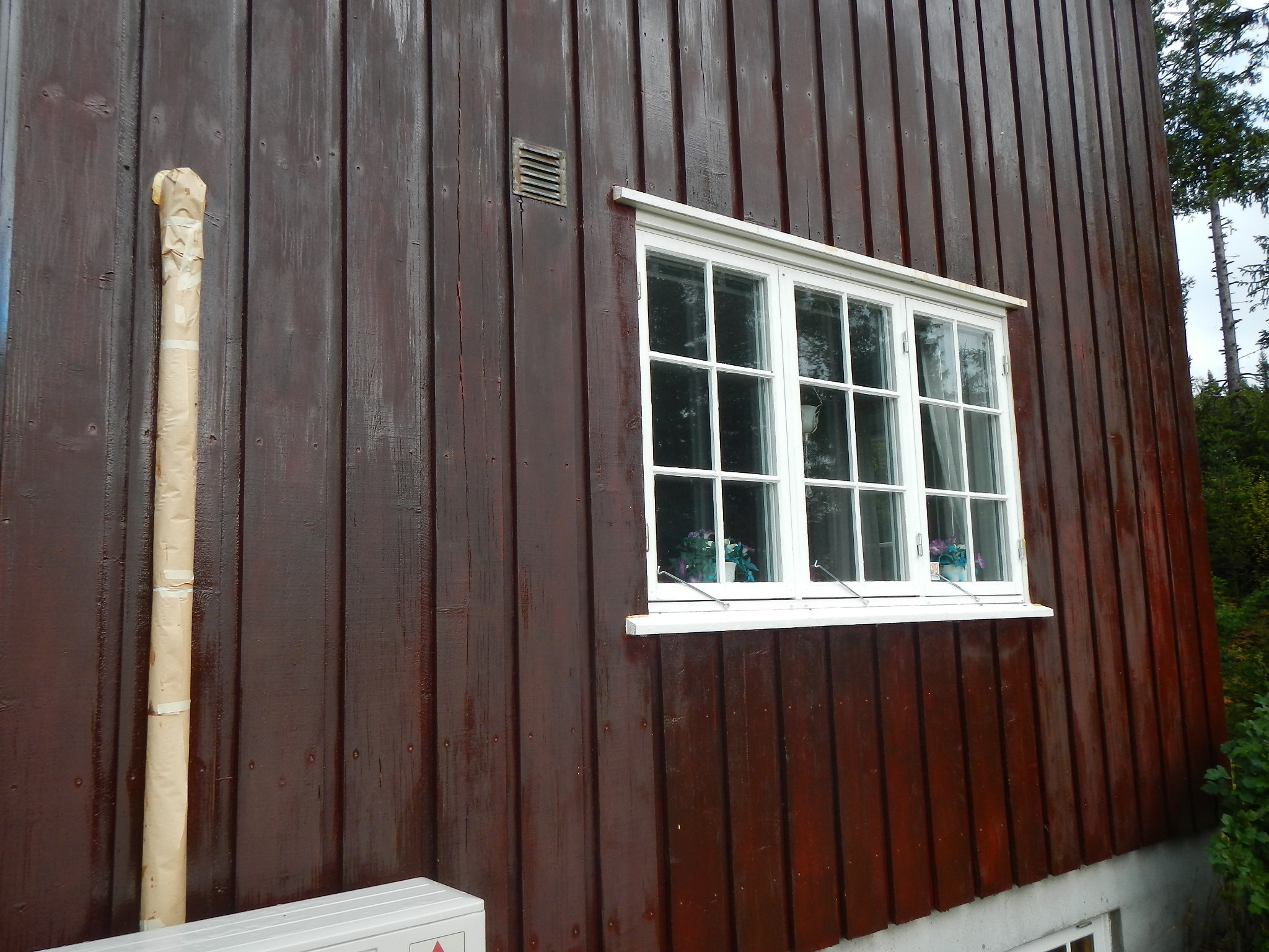 Duggmatting fremtrer som matte skjolder i en nymalt flate som utsettes for dugg f&oslash;r malingen er t&oslash;rr nok. Foto: Scanox