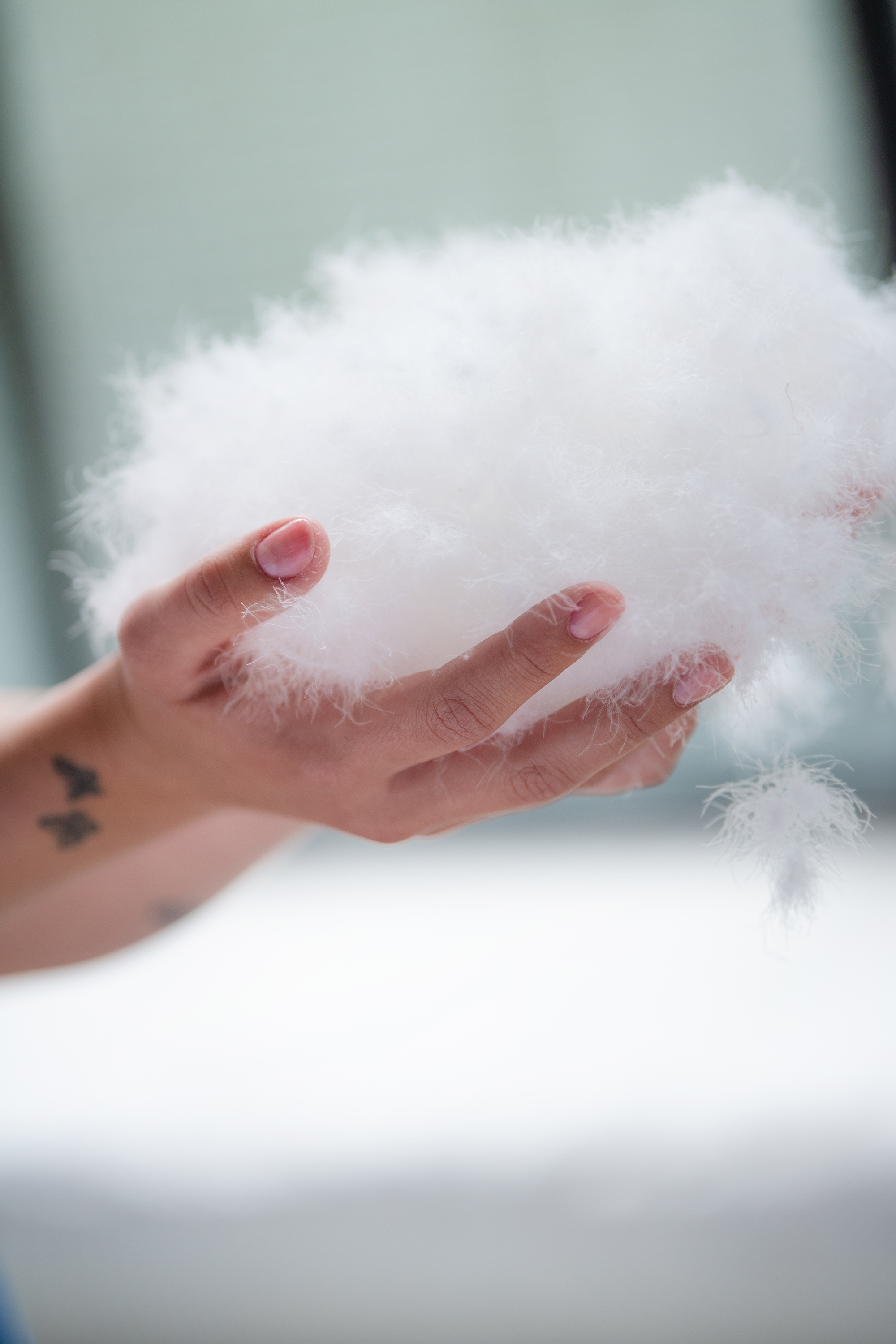 tett på bilde av hånd som holder fugldun