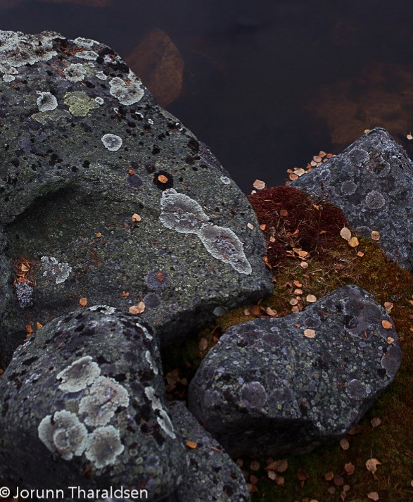 Naturen som inspirasjon