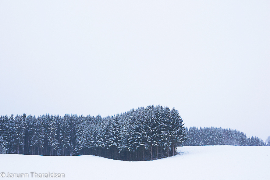 Blå som favorittfarge