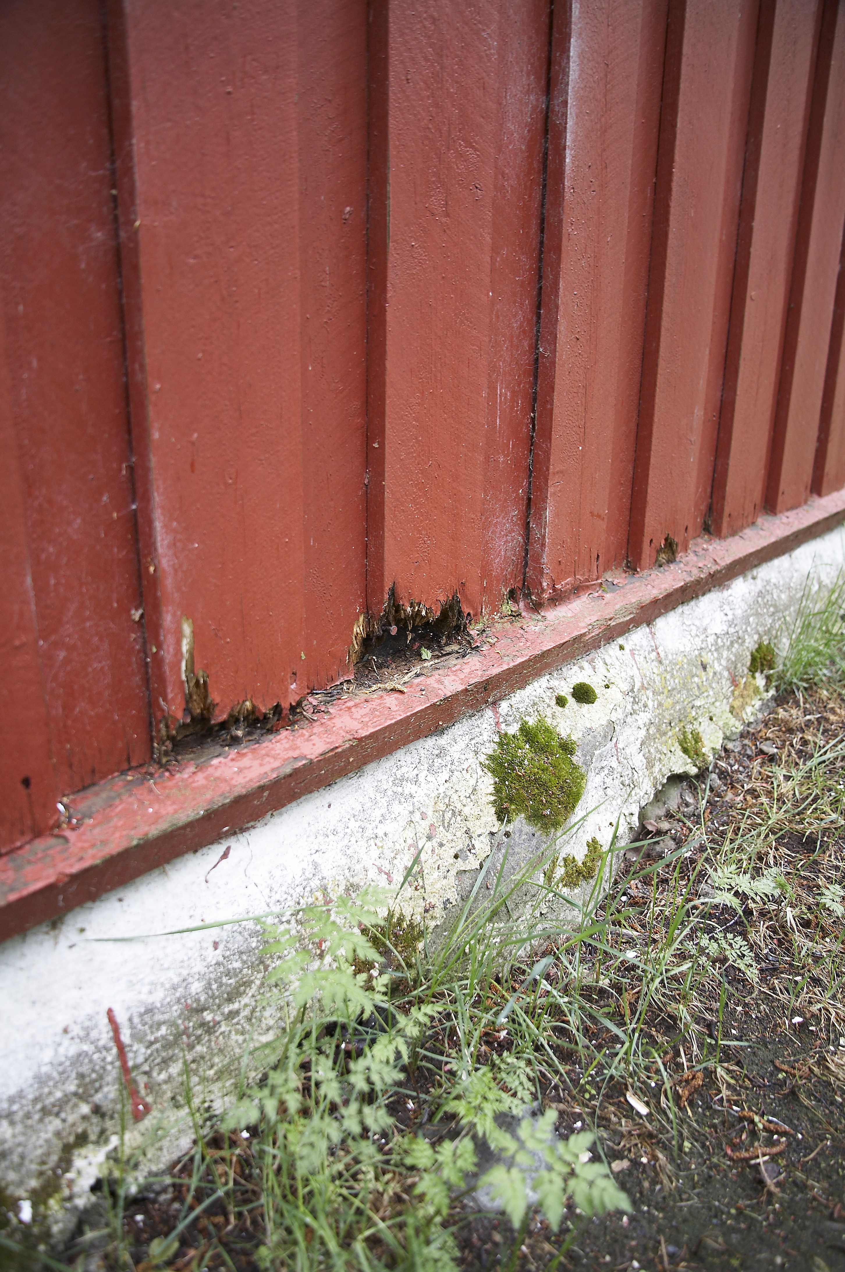 Råteskadet kledning