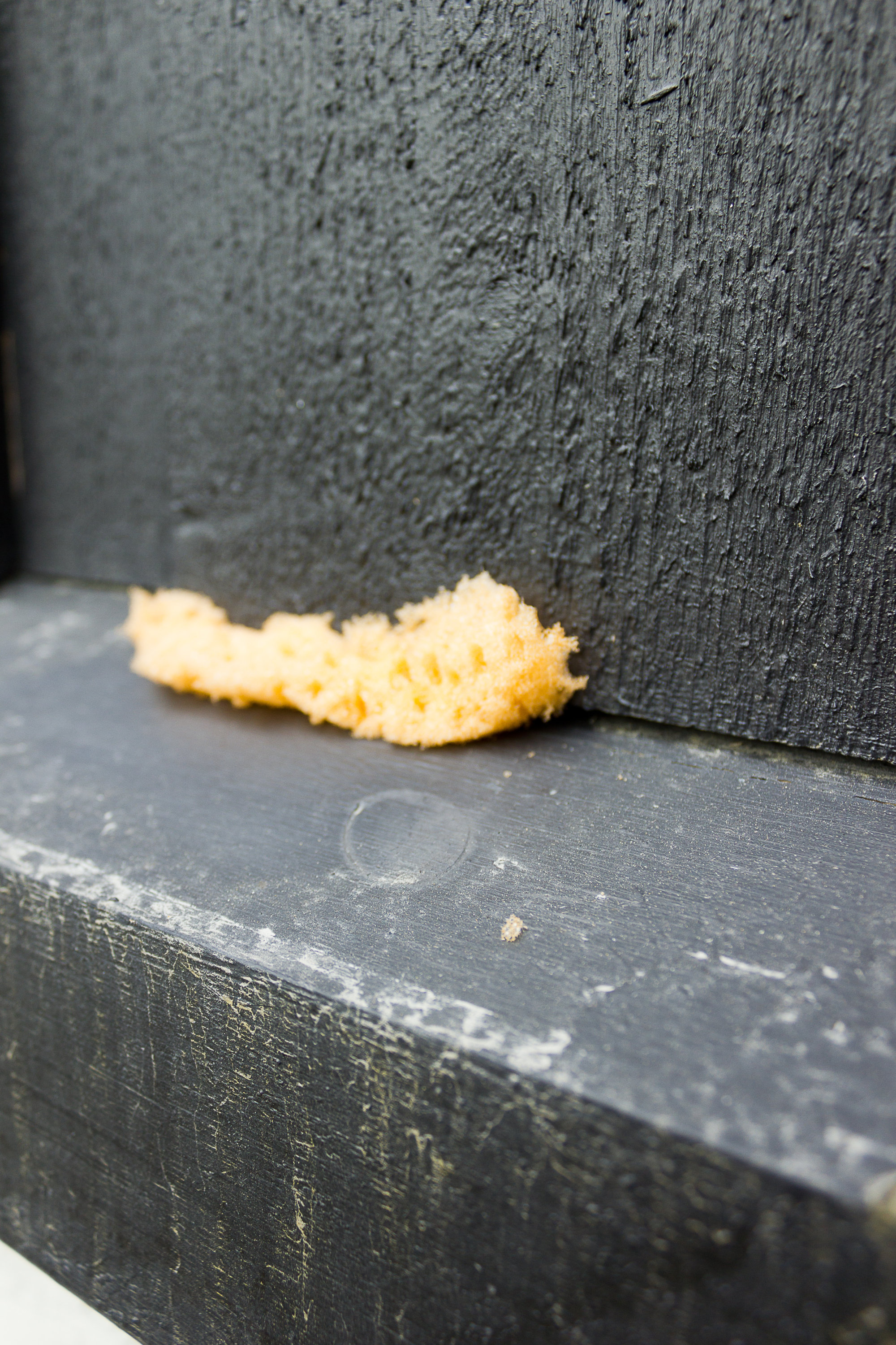 trebord svamp svart hus