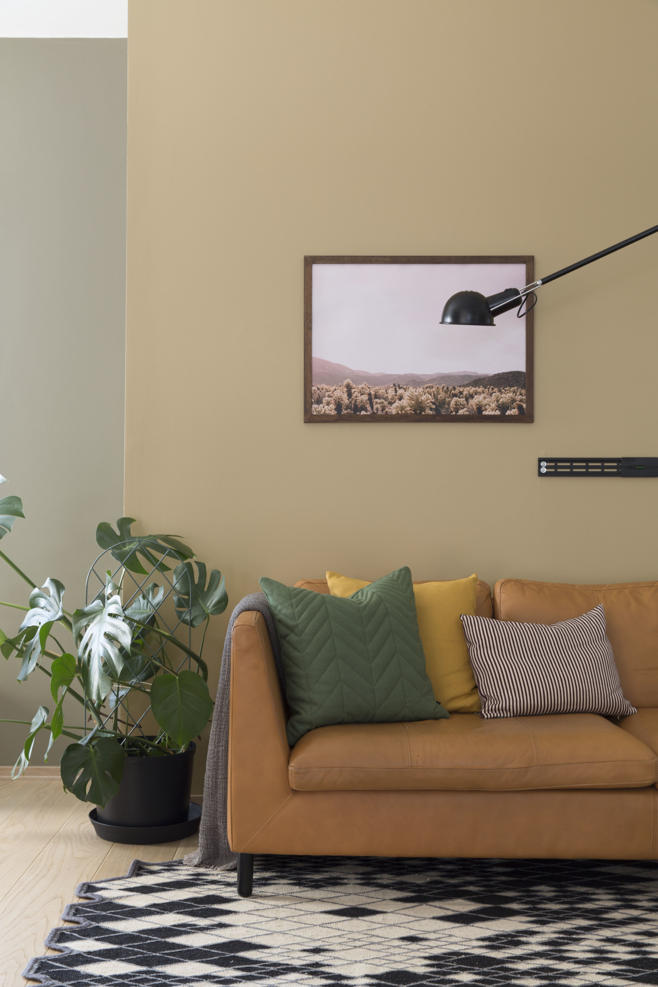 Farge på veggen bak bilde