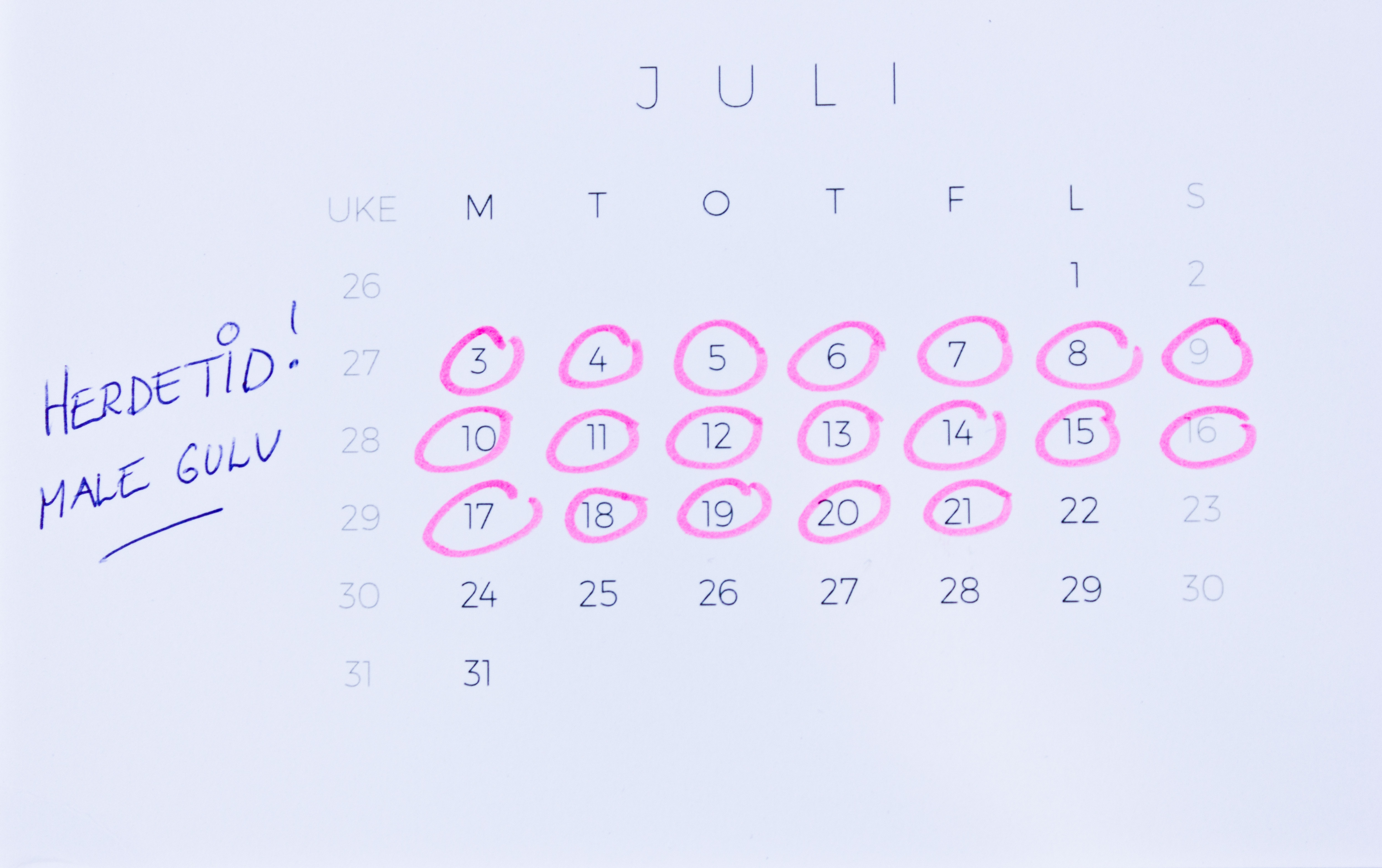 Herdetid for gulvmaling