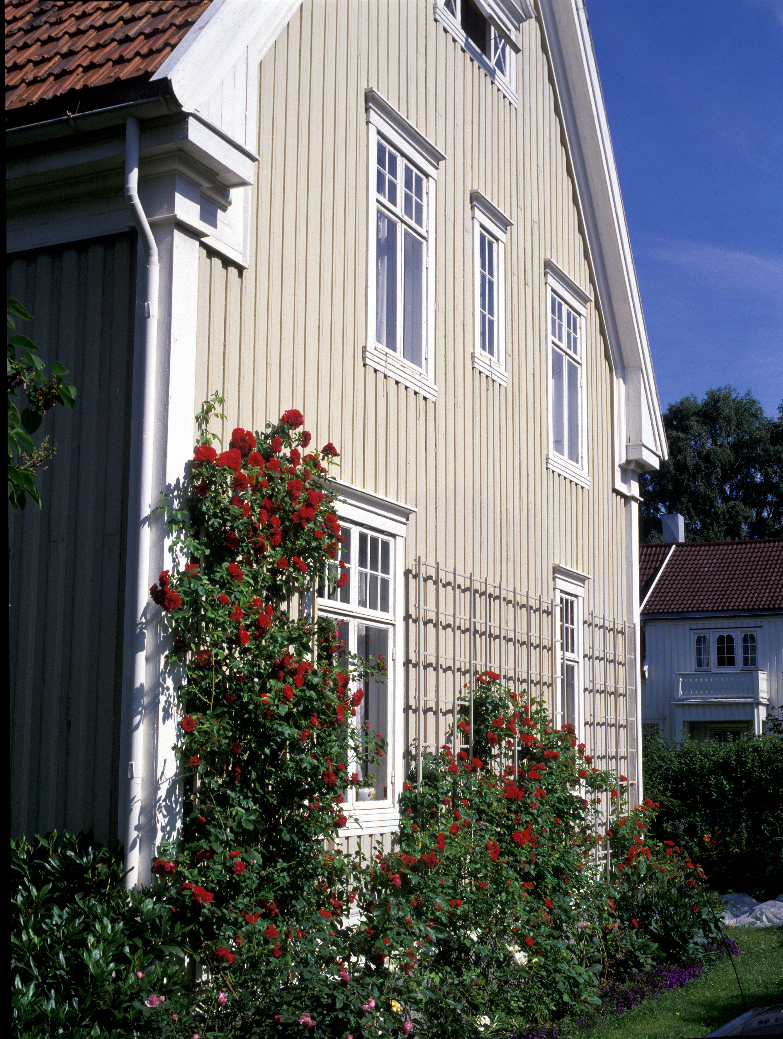 Det handler ikke om å synes best