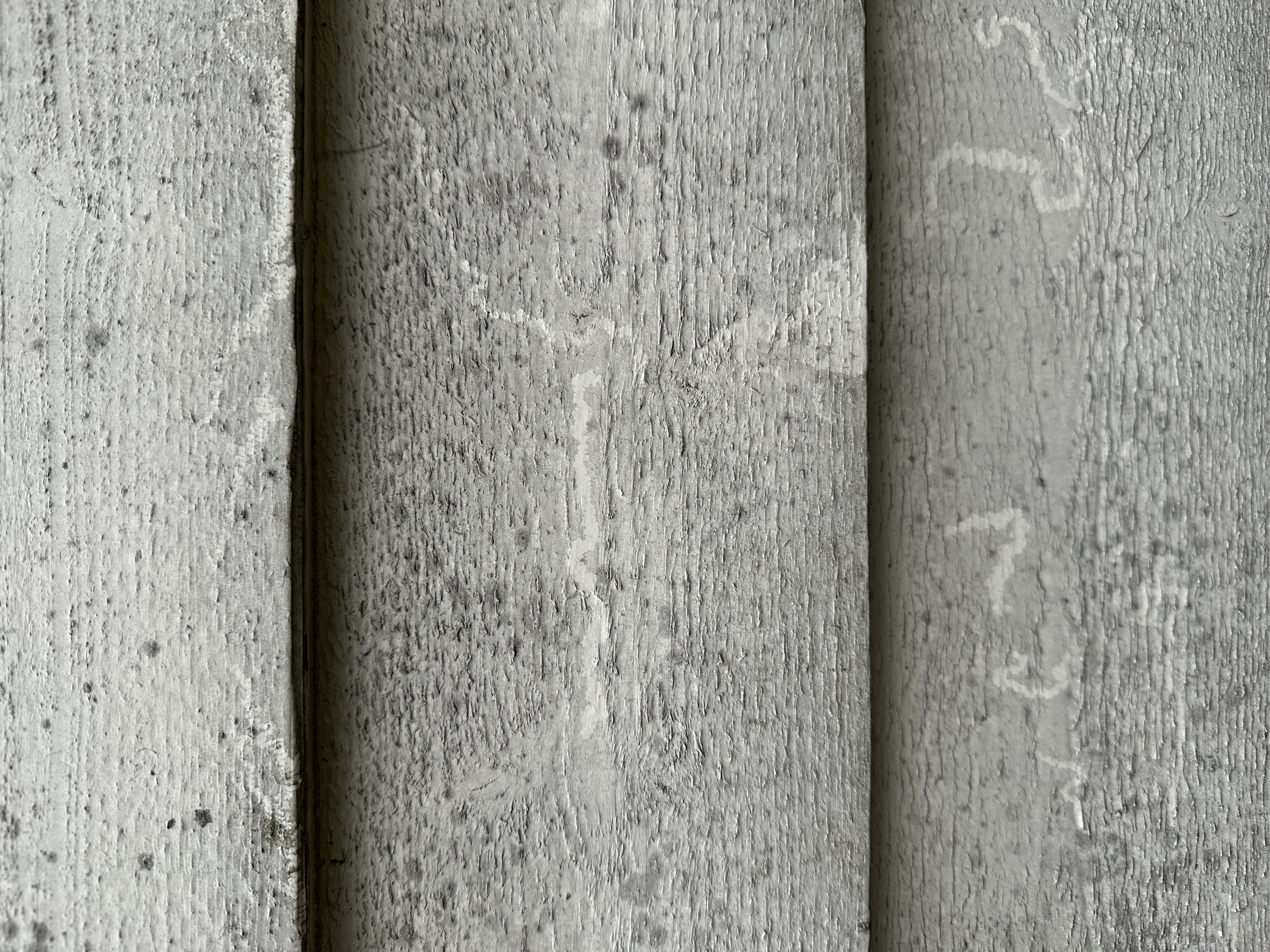 treverk fasade svertesopp skitt