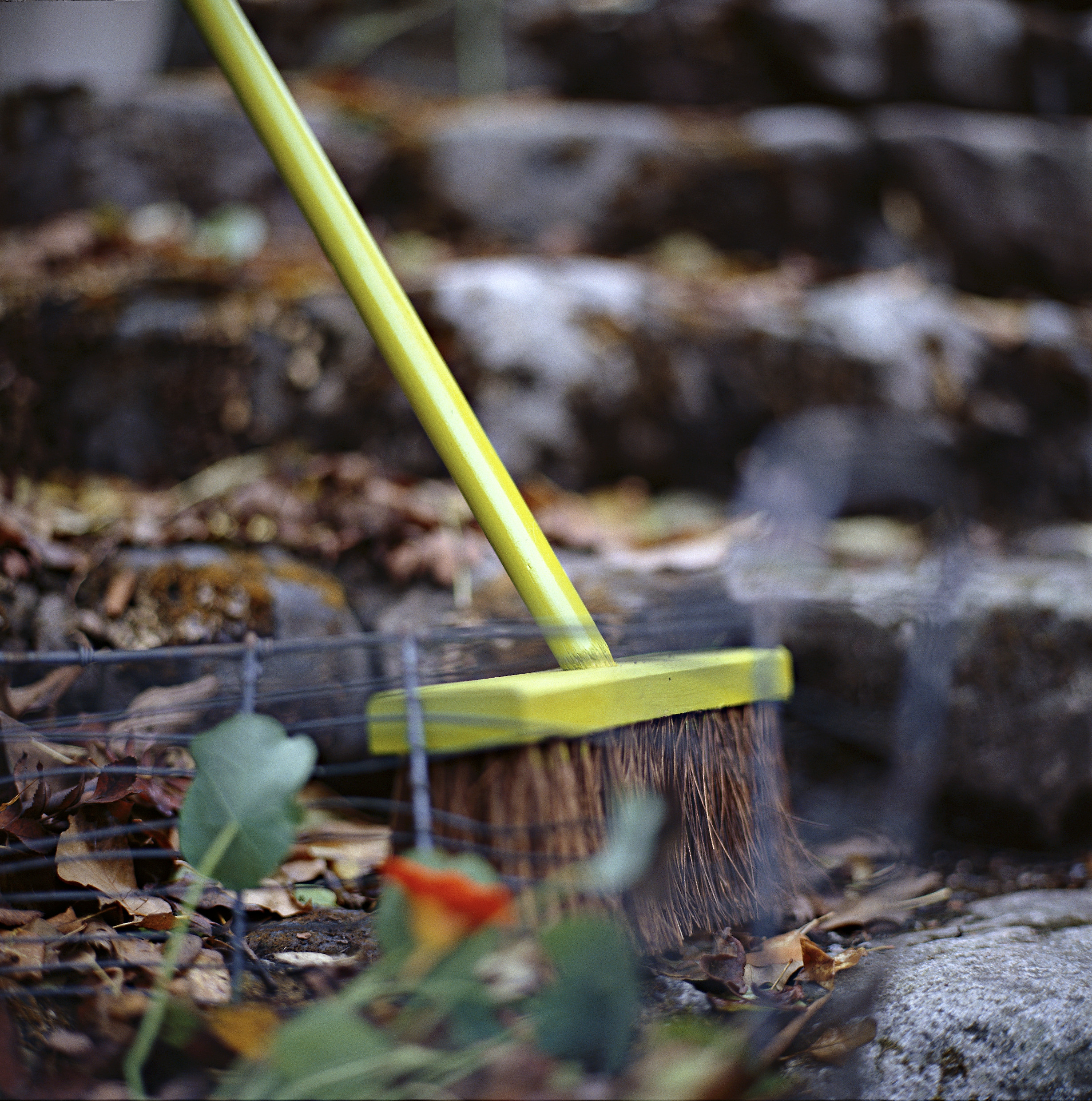 Her er høstens viktigste verktøy