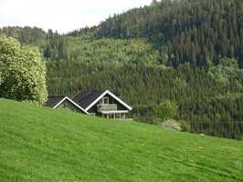 <b>NATUR:</b> Et grønt hus gjemmer seg i helgrønn natur. De lyse vindskiene skaper kontrast mot omgivelsene og sier «hei, hei!!»