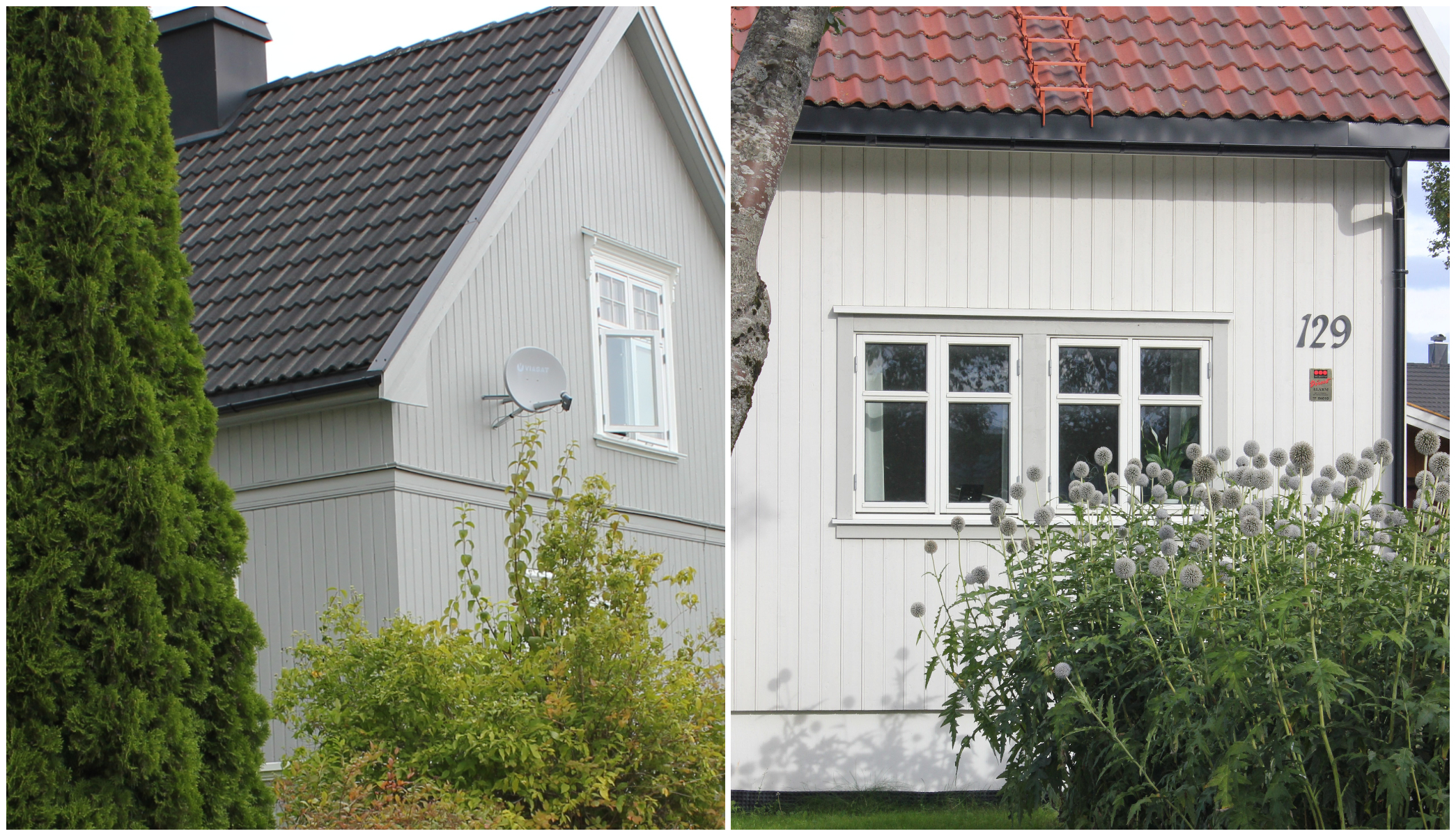 Rødt eller sort tak