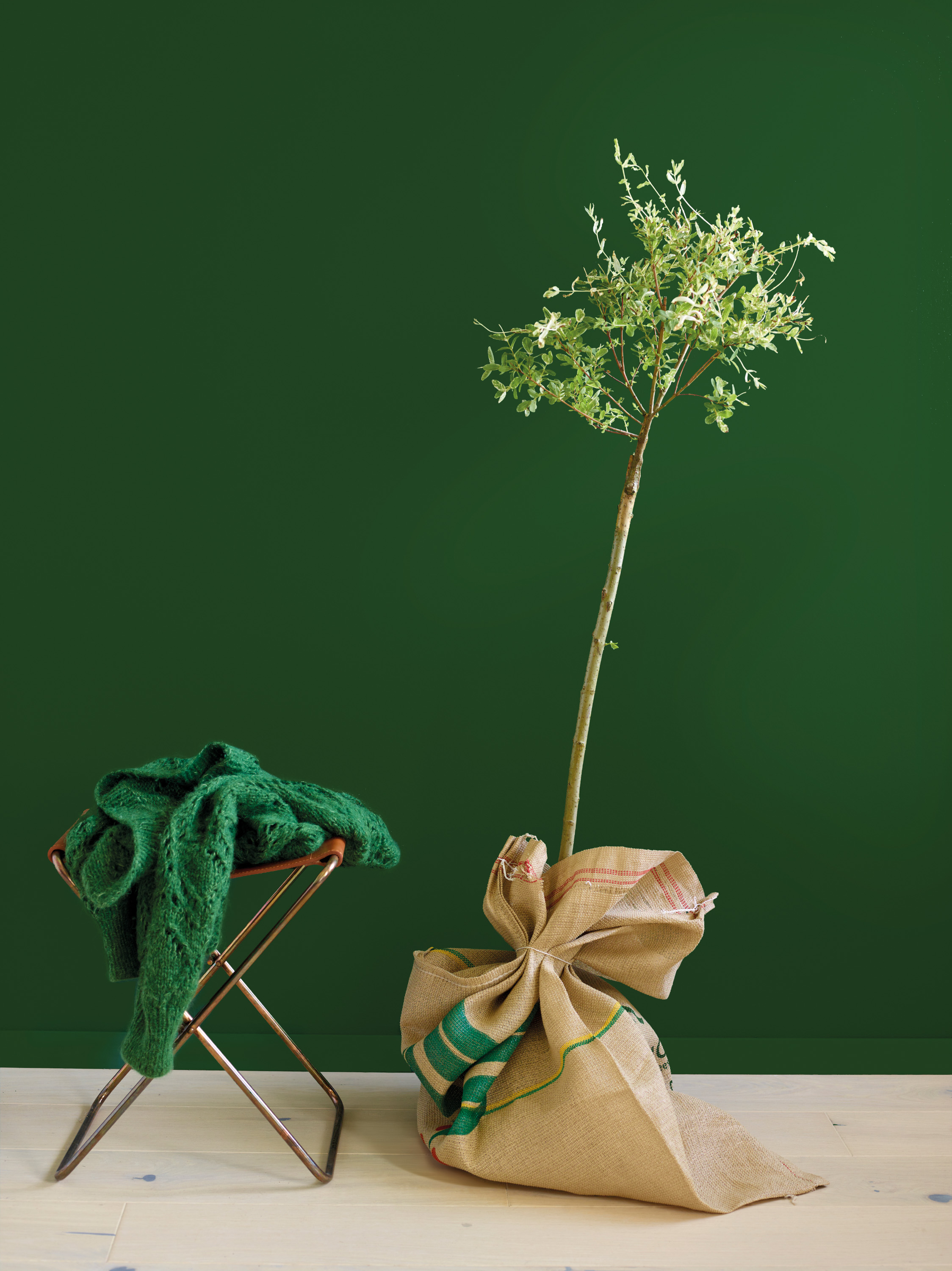 Fargen Fiolinfiken fra Fargerike