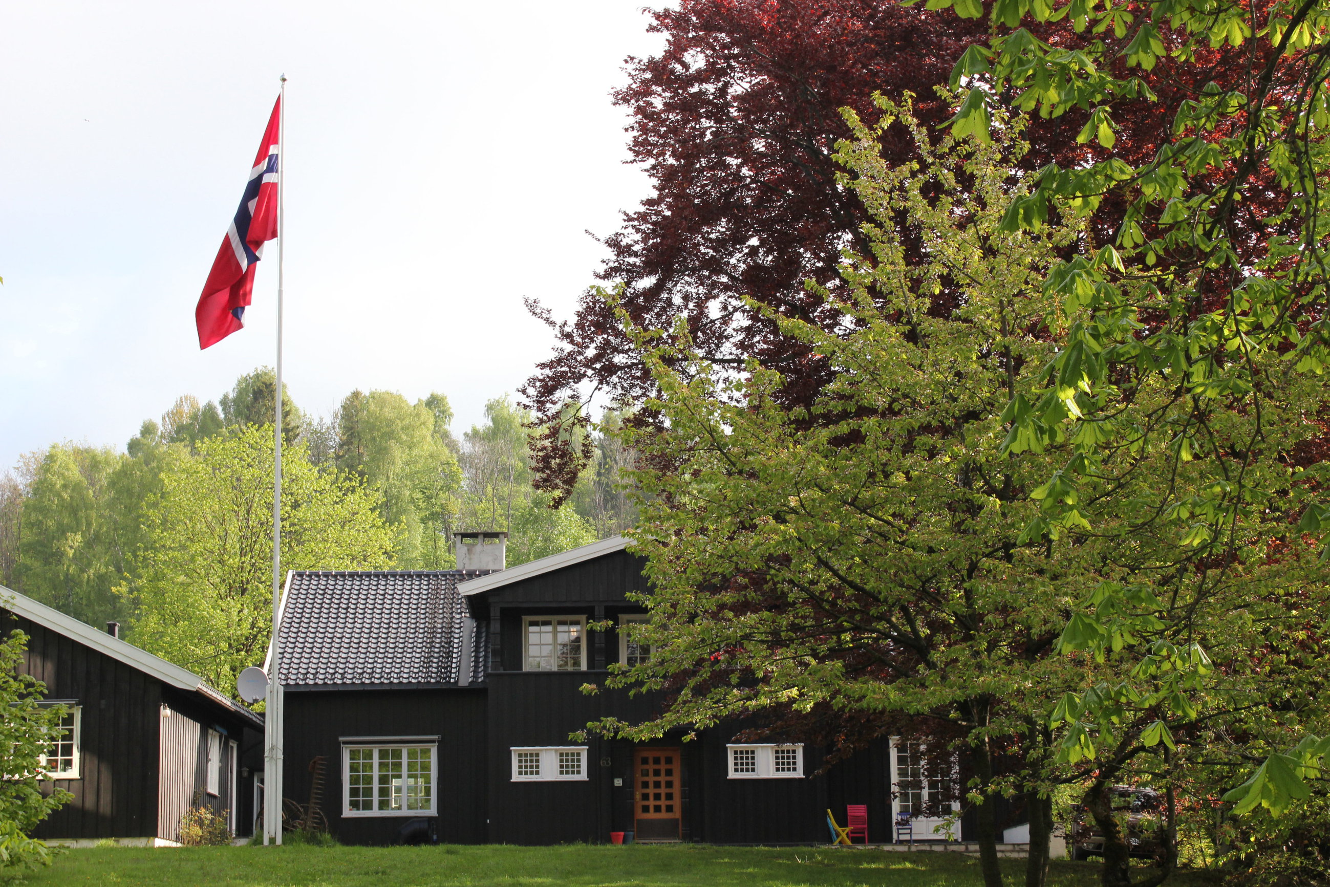 Heiser flagget til fest