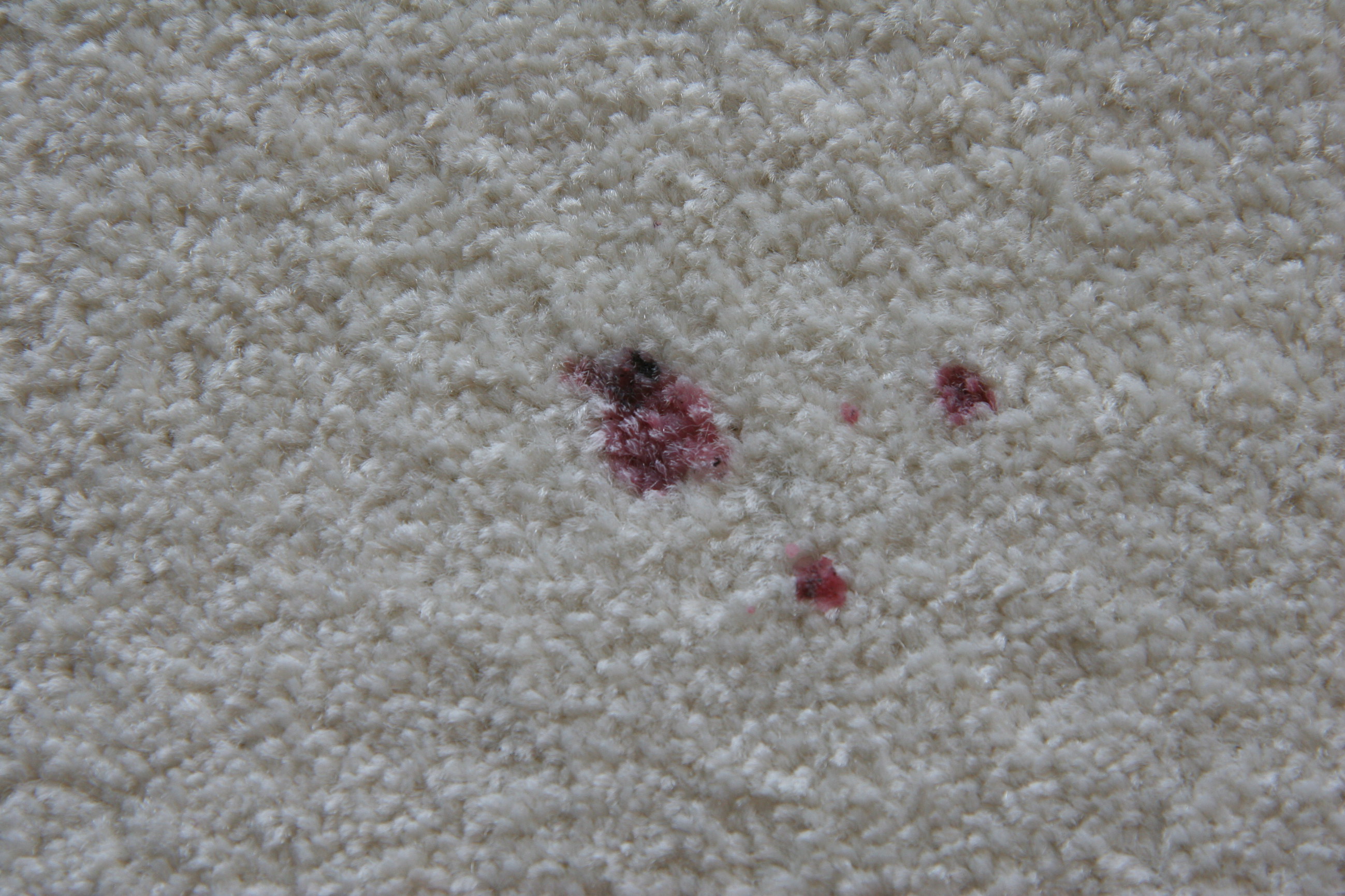 Dette gjør du for å fjerne stearin