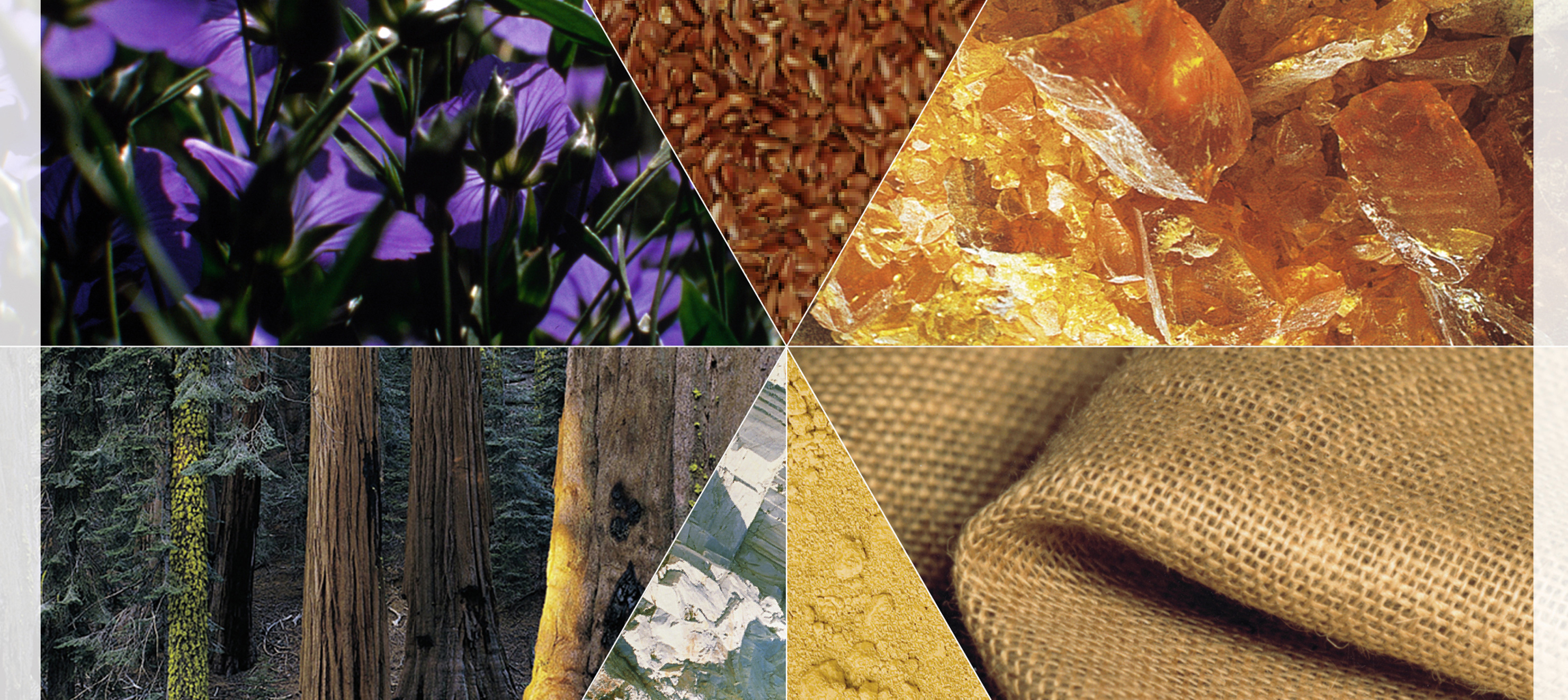 Ny generasjon linoleum - godt for stuegulvet