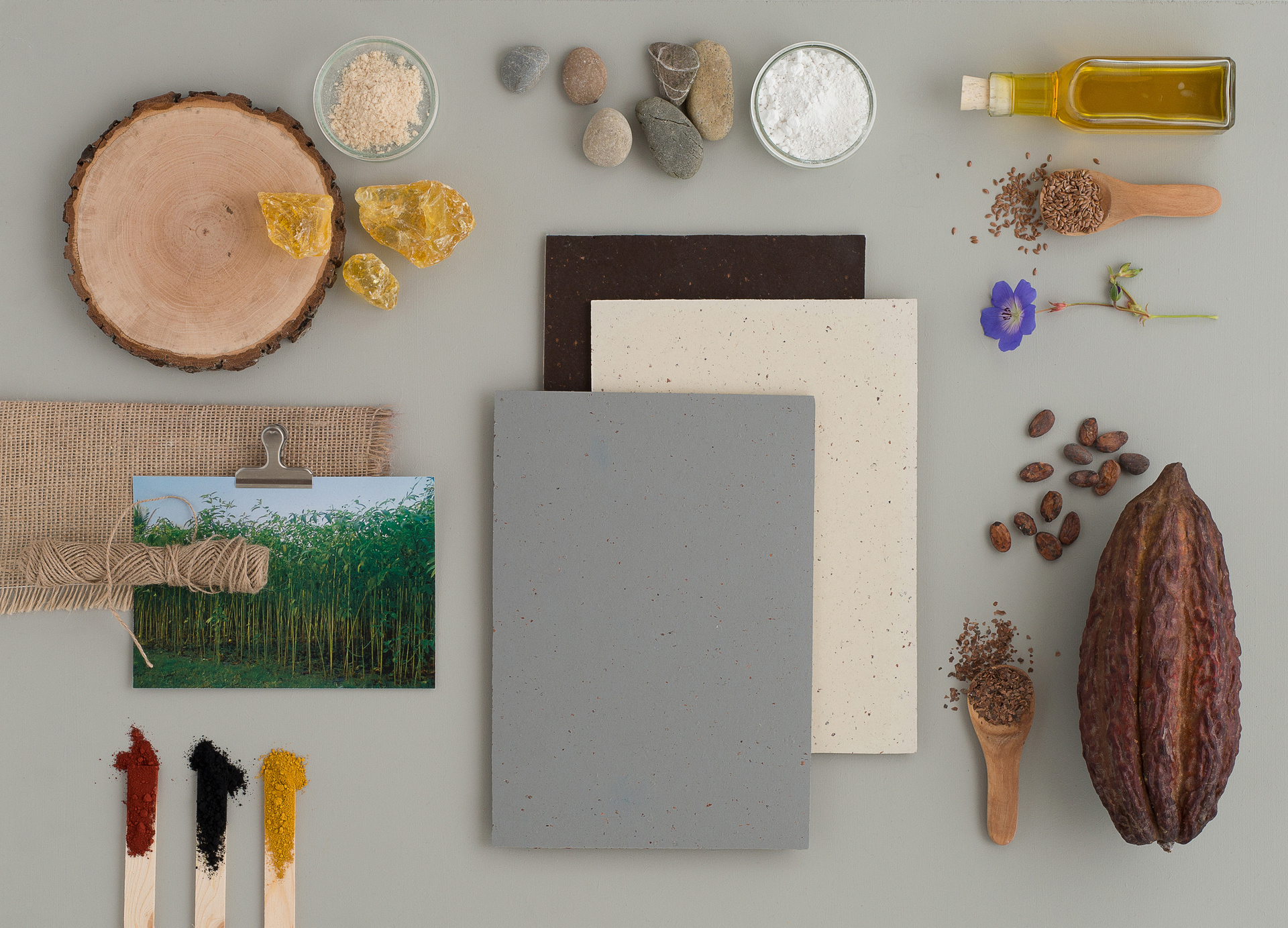 Kakaobønnens skjulte talent