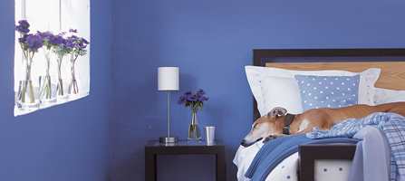«Feeling blue» er ikke ille når det kommer til å få seg en god natts søvn. Er soverommet ditt blått, kan du nettopp lettere falle i søvn.